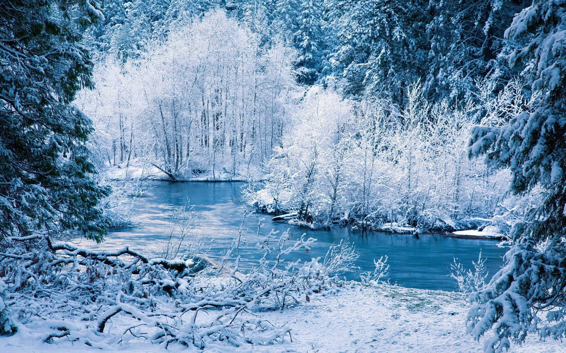 雪 桌布 壁紙 — 一條寧靜的冬季河流蜿蜒穿過白雪覆蓋的森林，結霜的樹木倒映在平靜的藍色水面上。