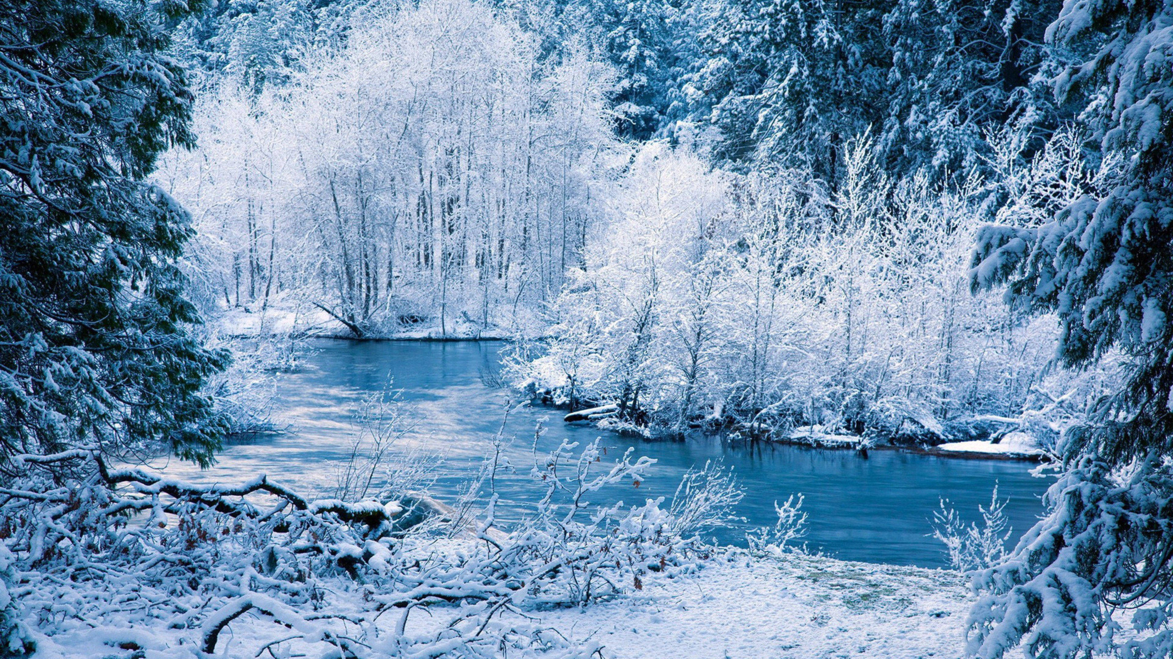 雪 桌布 壁紙 — 一條寧靜的冬季河流蜿蜒穿過白雪覆蓋的森林，結霜的樹木倒映在平靜的藍色水面上。