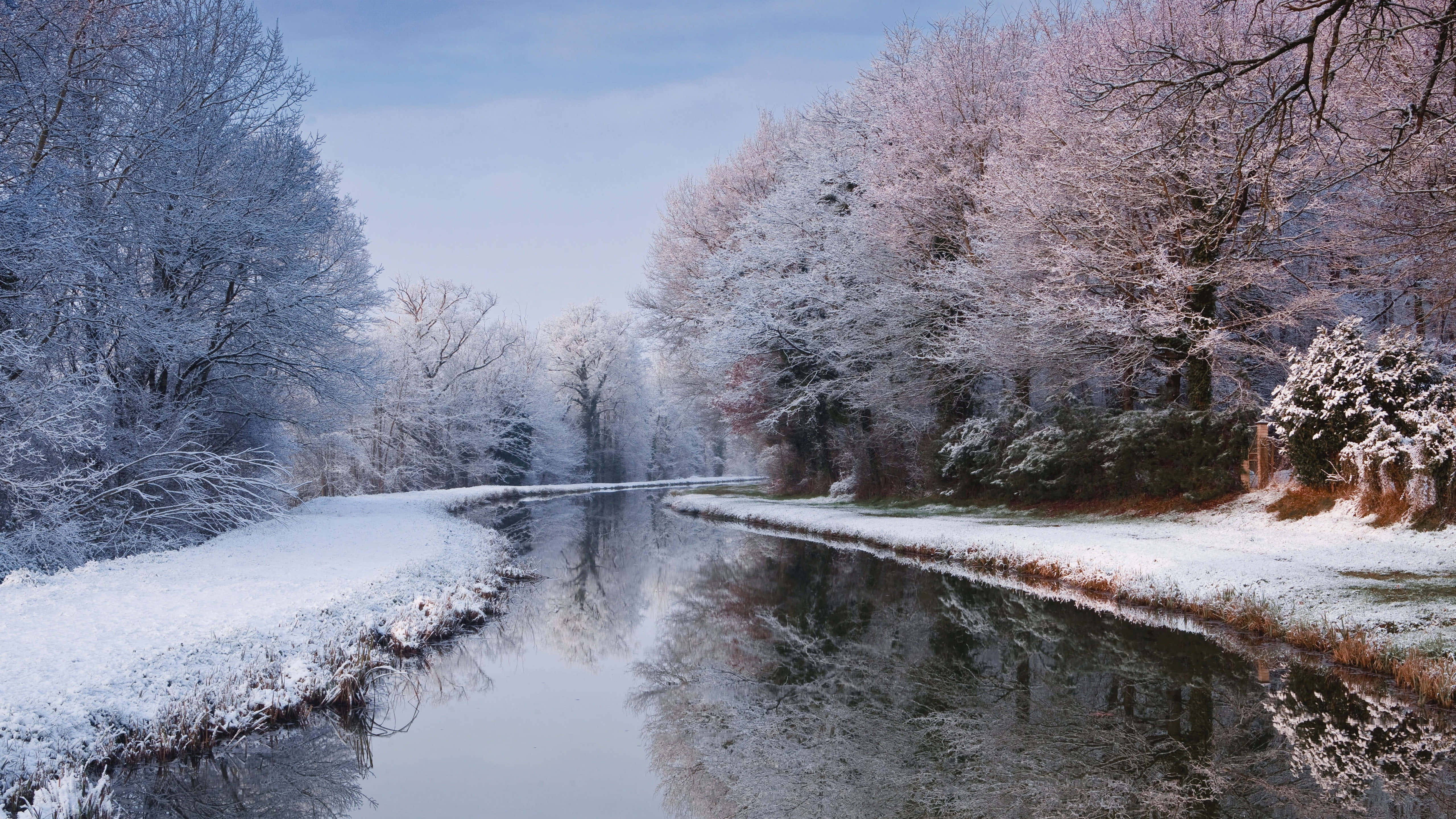 Beautiful Winter 桌布 壁紙 — 一條寧靜的冬季運河，兩旁是結霜的樹木，在淡藍色的天空下倒映在平靜的水面上。