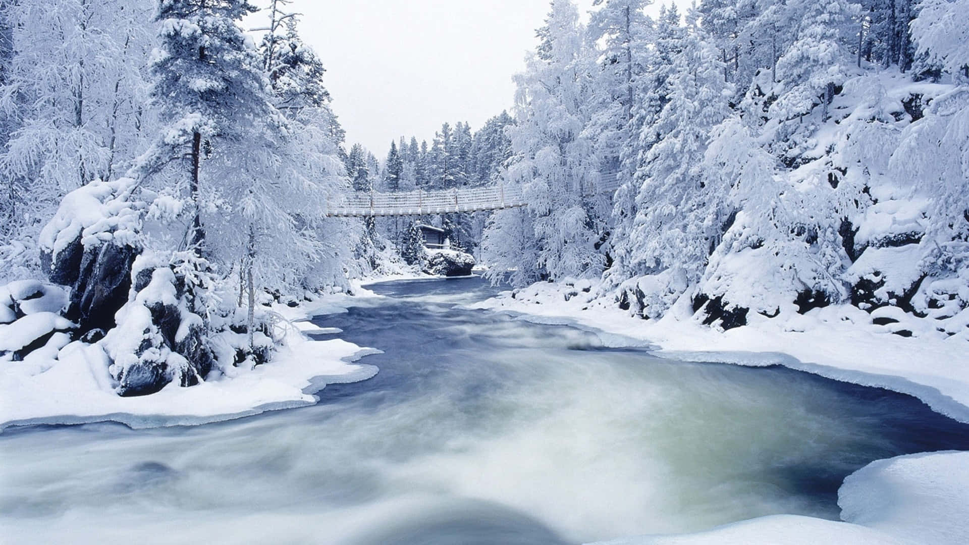 桌布 壁紙 — 一條寧靜的冬日河流在白雪覆蓋的吊橋下流淌，周圍是結霜的常青樹。