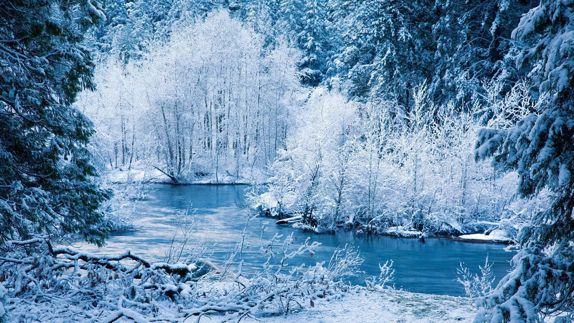 Best Winter 桌布 壁紙 — 一條寧靜的冬日河流蜿蜒穿過白雪覆蓋的樹木，在清涼的藍天下。