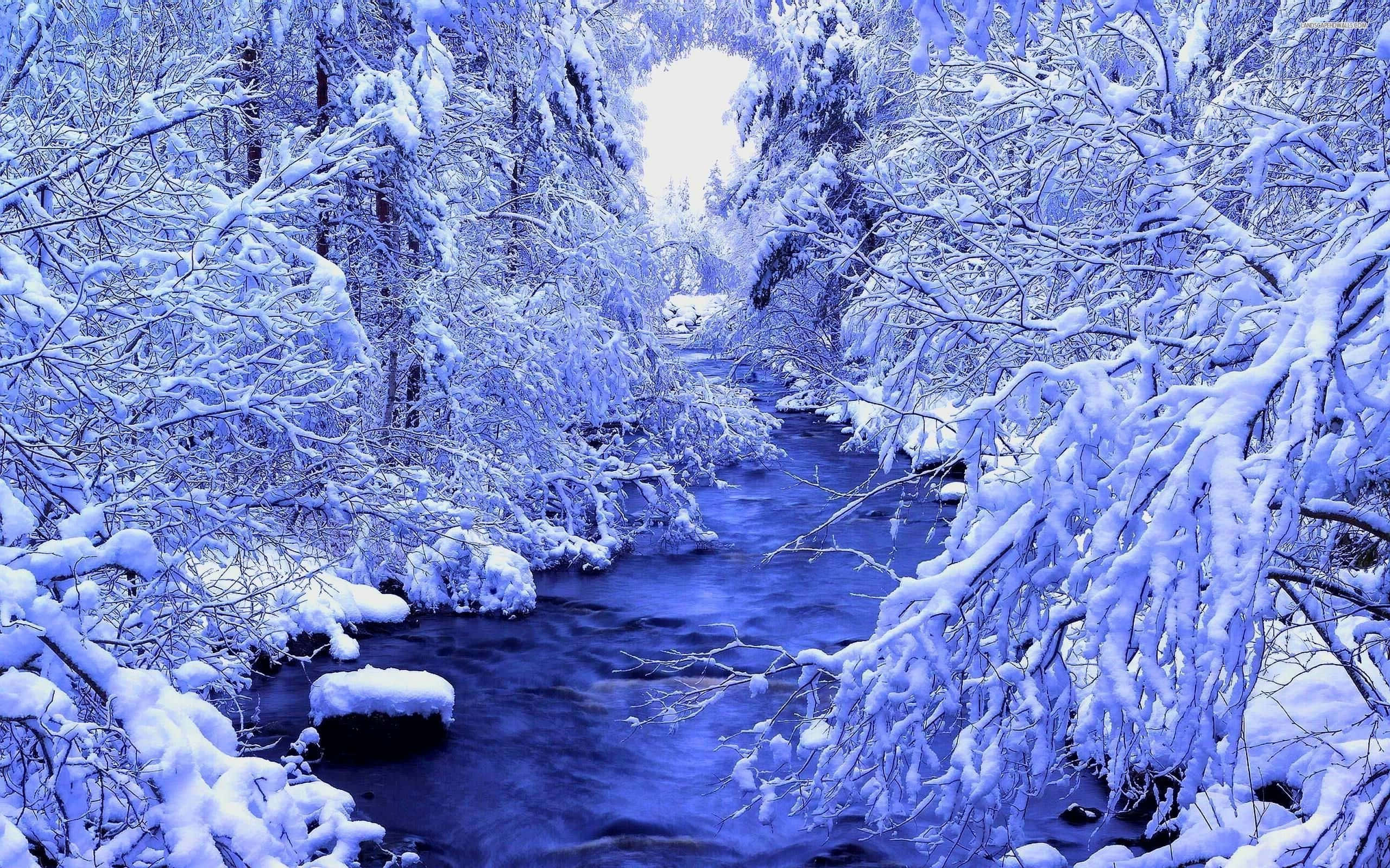 Winter Forest 桌布 壁紙 — 一條寧靜的冬日溪流在白雪覆蓋的樹木間流淌，頭頂是明亮的藍天。