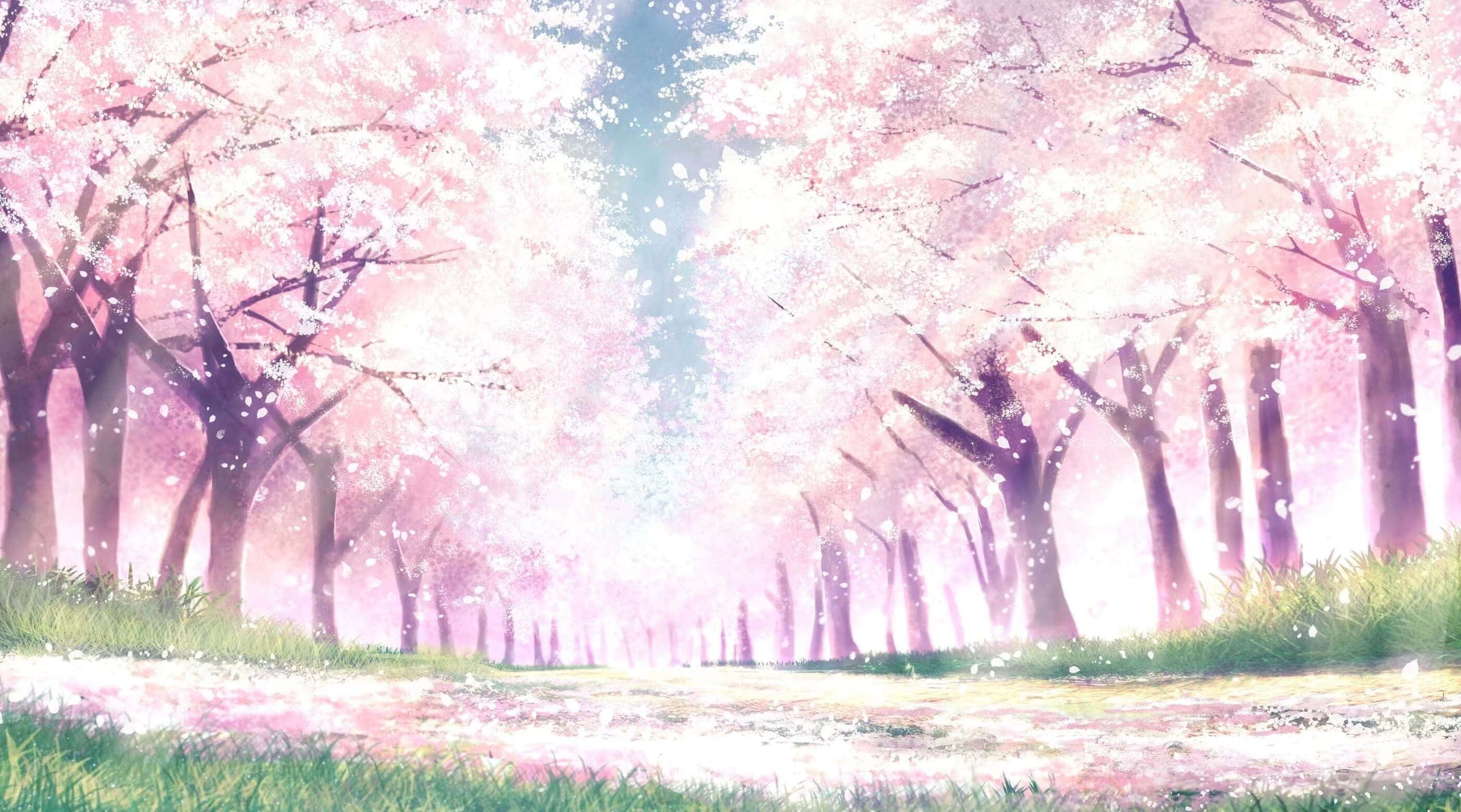 Anime Cherry Blossom 桌布 壁紙 — 一條寧靜的動漫小徑，兩旁盛開的櫻花樹，在柔和粉紅與藍色的天空下。