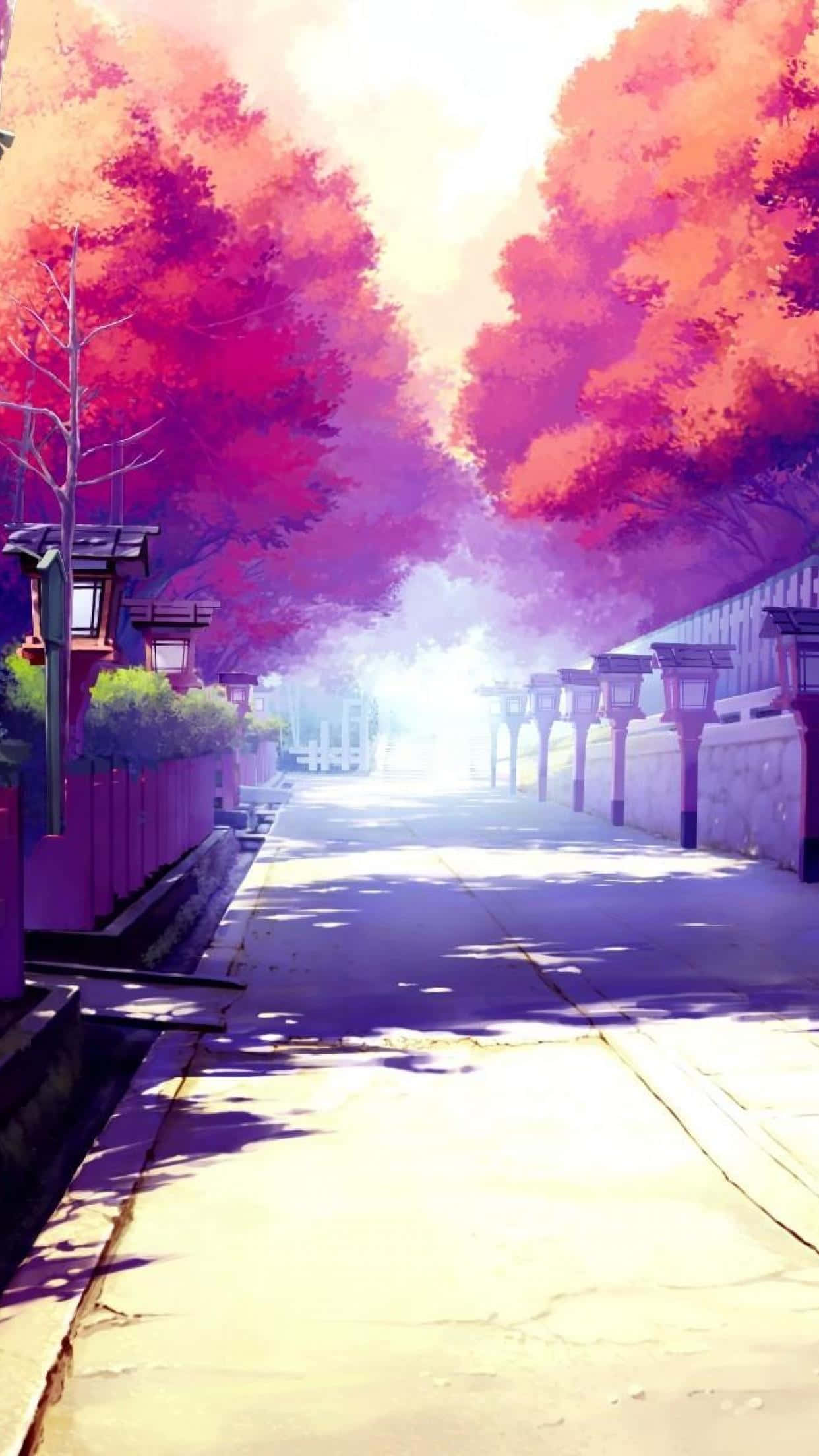櫻花 桌布 壁紙 — 一條寧靜的動漫風格街道，兩旁種滿在燦爛陽光下閃耀的鮮豔粉紅色和紫色樹木。