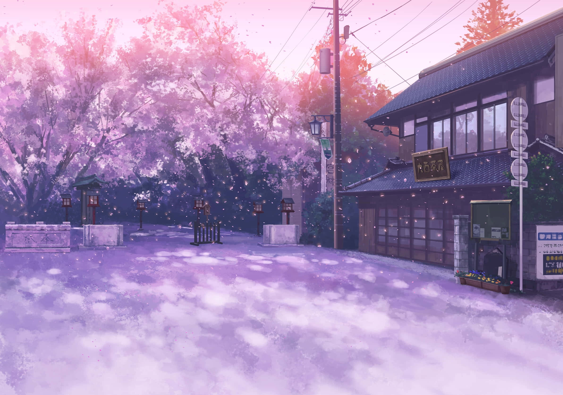 Anime Cherry Blossom 桌布 壁紙 — 一條寧靜的動漫風格街道，沐浴在粉紅色的櫻花花瓣中，花瓣在柔和的暮光中飄揚。