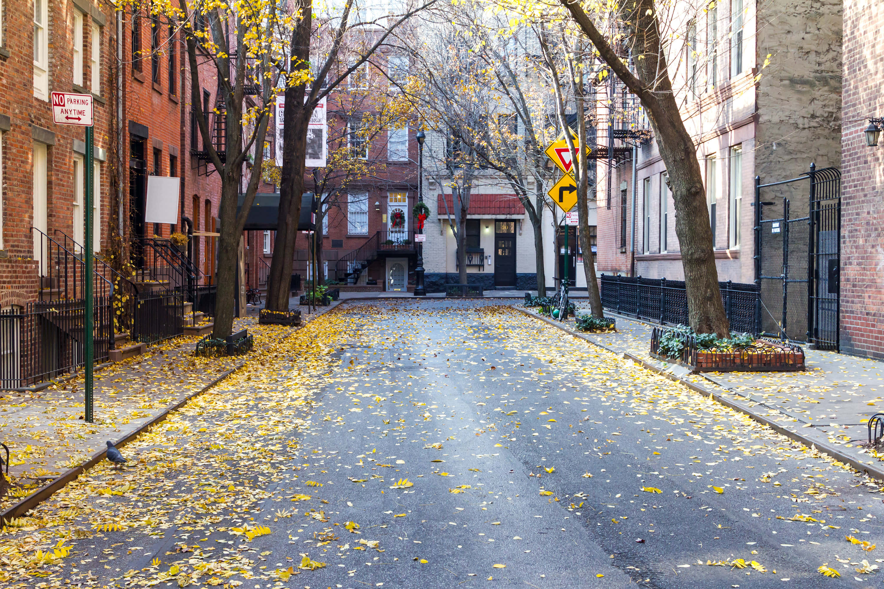 Street 桌布 壁紙 — 一條寧靜的城市街道，兩旁是磚砌建築和光禿禿的樹木，在柔和日光下覆蓋著落下的黃葉。