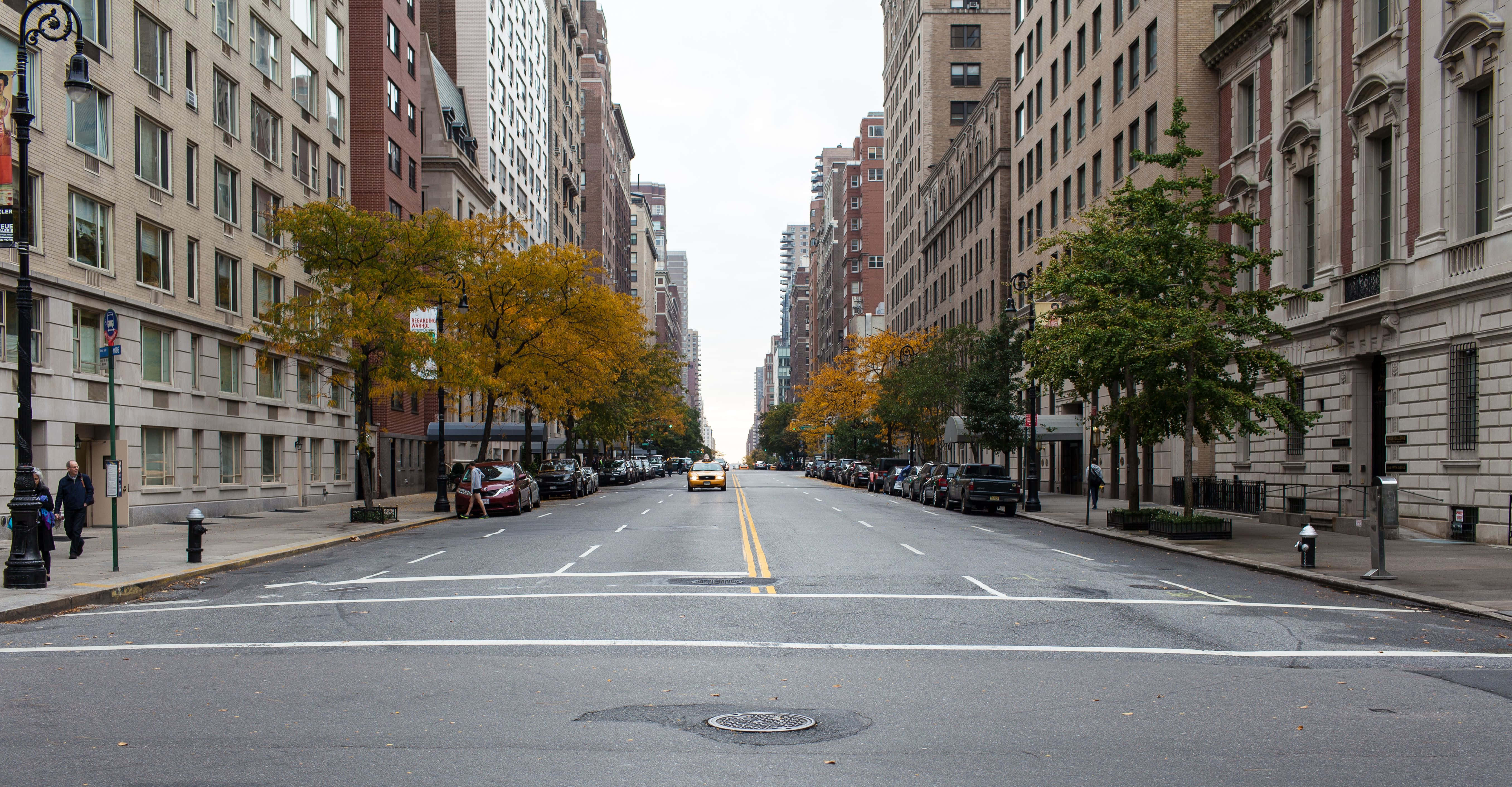 City Street 桌布 壁紙 — 一條寧靜的城市街道，兩旁是高樓大廈和秋天樹木，金黃色的樹葉在陰天天空下。