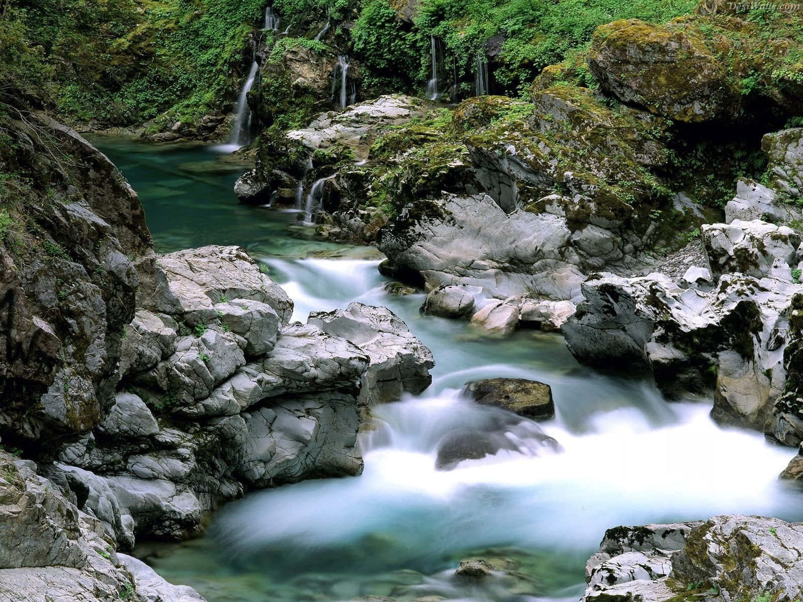 Creek 桌布 壁紙 — 一條寧靜的山間溪流，流過長滿苔蘚的灰色岩石，穿過鬱鬱蔥蔥的綠色森林，帶有藍綠色的水。