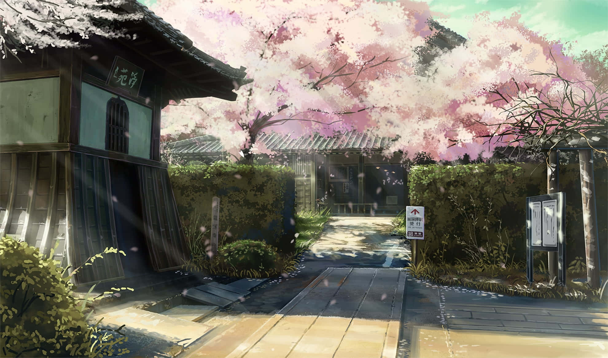 Anime Cherry Blossom 桌布 壁紙 — 一條寧靜的日本花園小徑，兩旁種滿盛開的櫻花，傳統木結構建築在柔和陽光下。