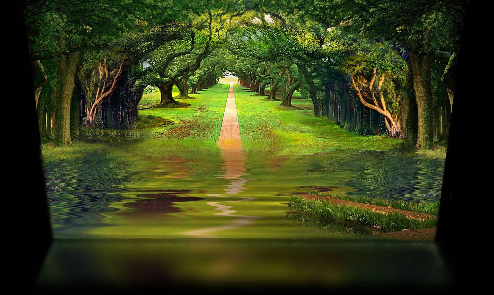 風景 桌布 壁紙 — 一條寧靜的森林小徑，兩旁拱形的樹木在柔和日光下倒映在平靜的水道上。