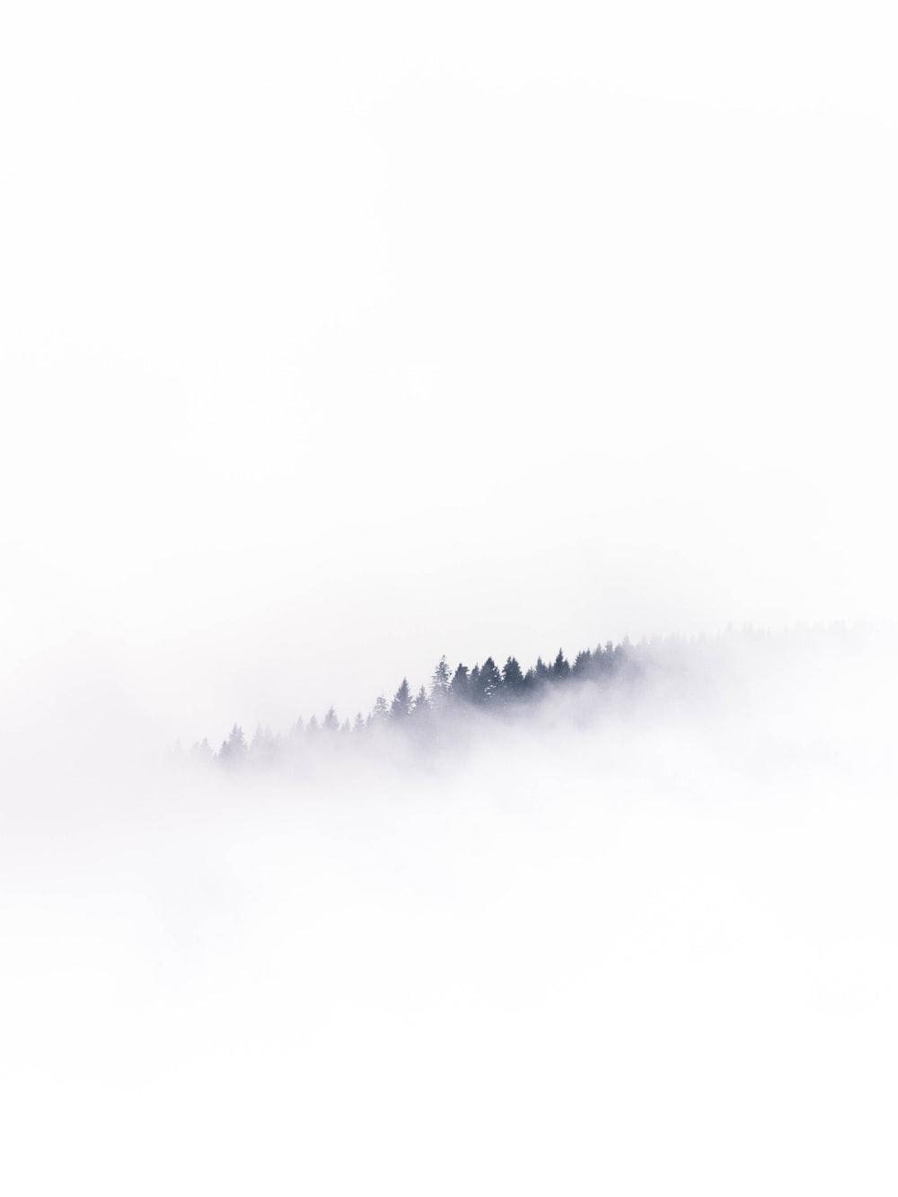 trees 桌布 壁紙 — 一條寧靜的森林山脊在濃霧中浮現，襯著淡色的天空，營造出極簡而平靜的自然景象。