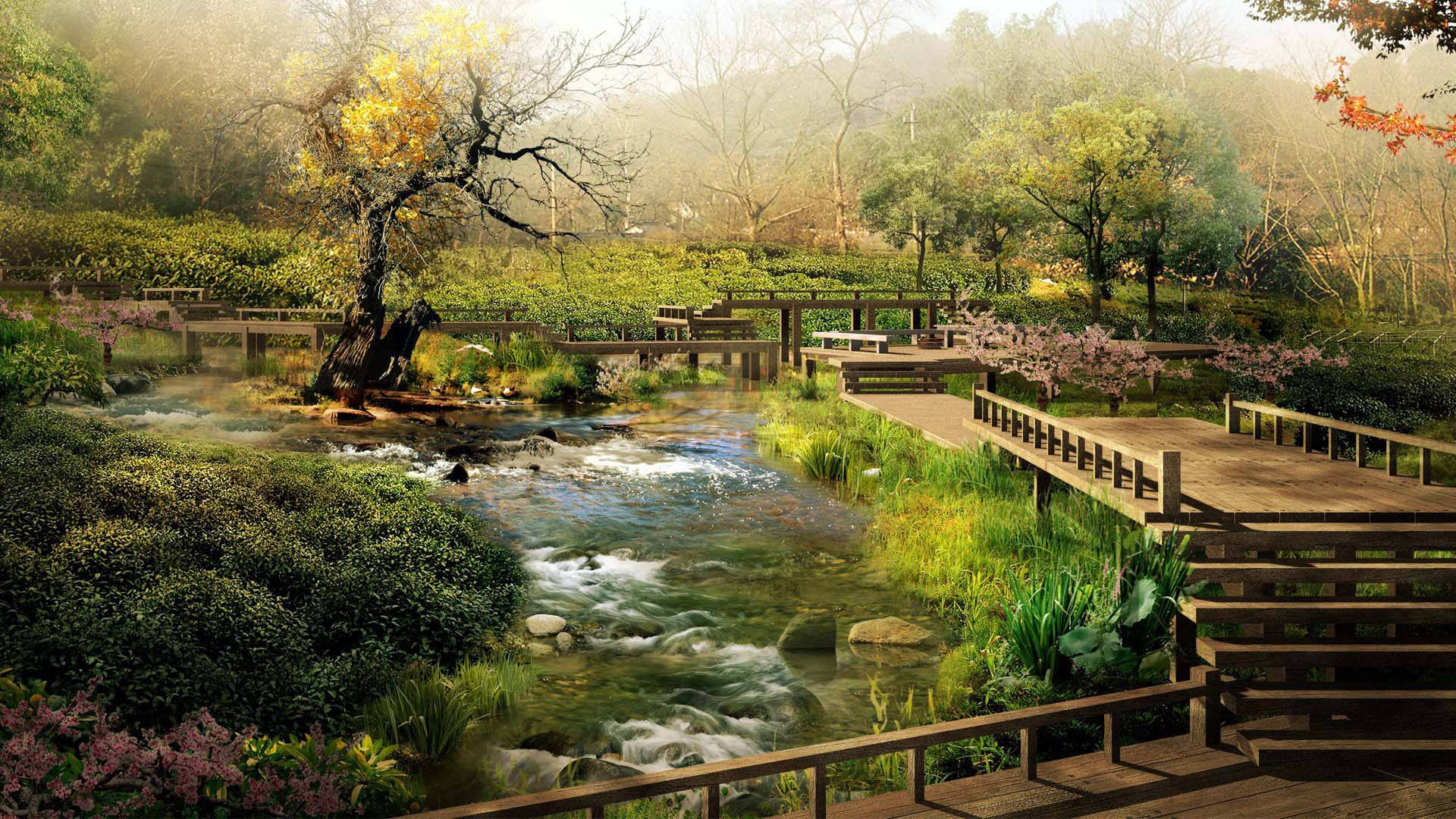 Scenery 桌布 壁紙 — 一條寧靜的森林溪流在柔和的晨光下流過木棧道和盛開的樹木。