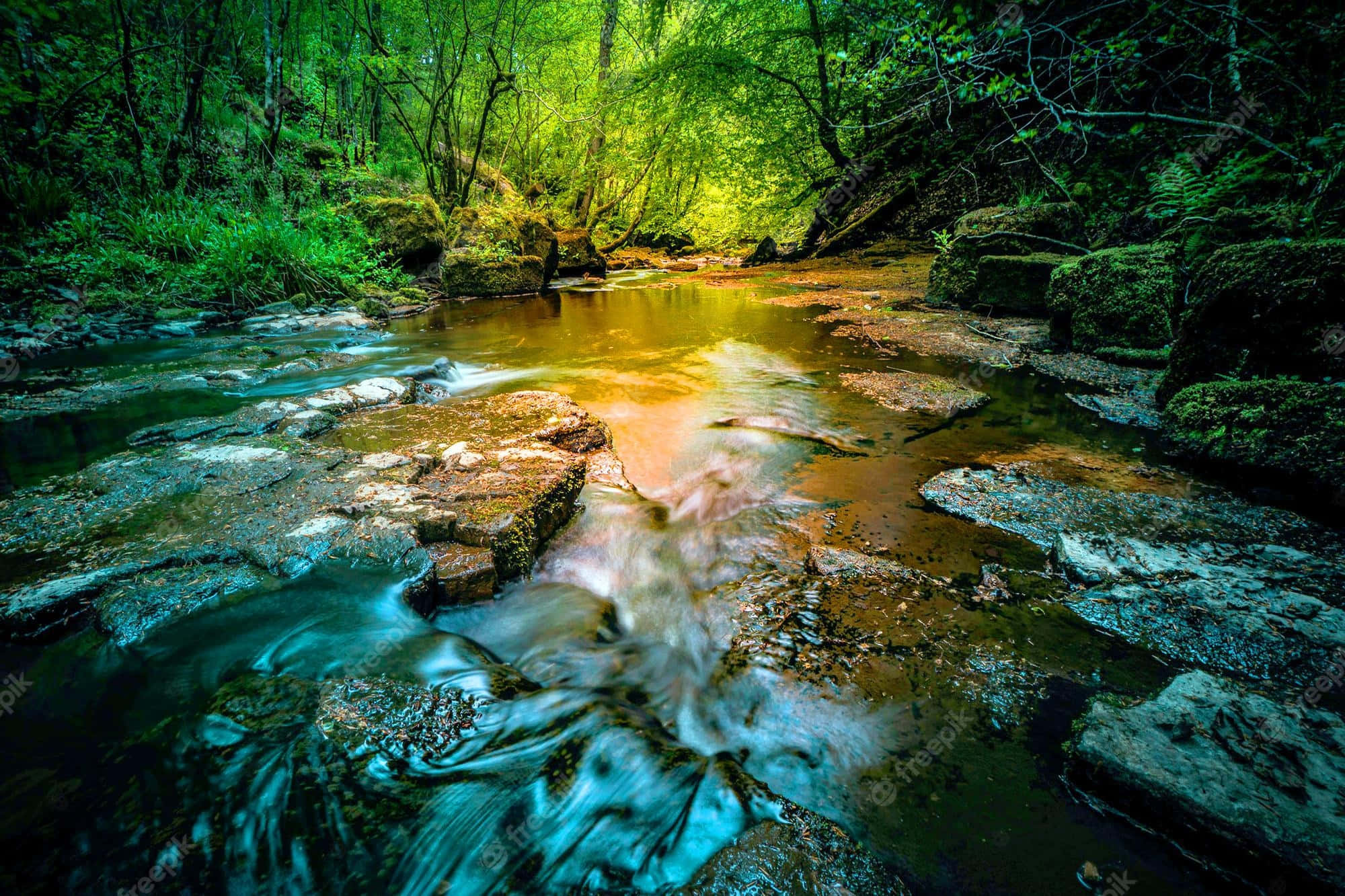 Beautiful Photography 桌布 壁紙 — 一條寧靜的森林溪流流過長滿青苔的岩石，翠綠的樹葉和金色的陽光透過樹冠灑落。