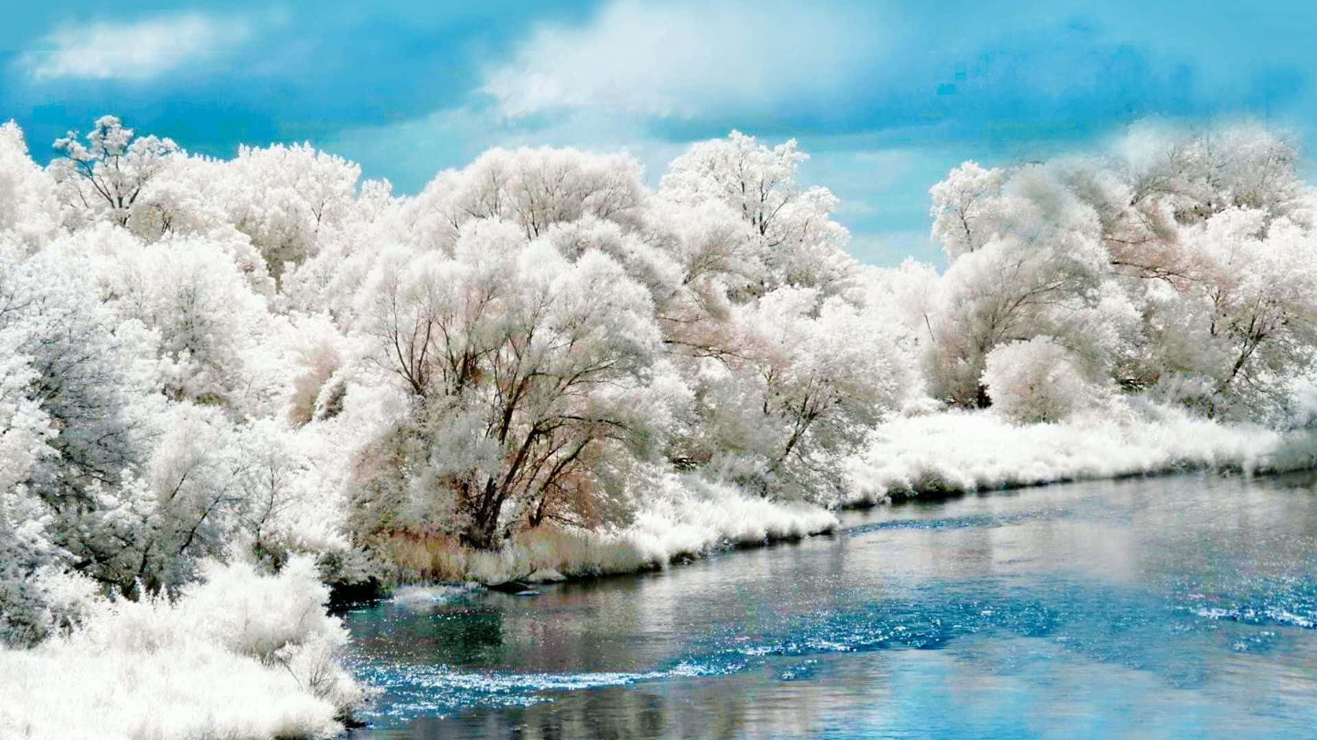 冬季桌面 桌布 壁紙 — 一條寧靜的河流流過白雪覆蓋的樹木，天空湛藍，雲朵蓬鬆。