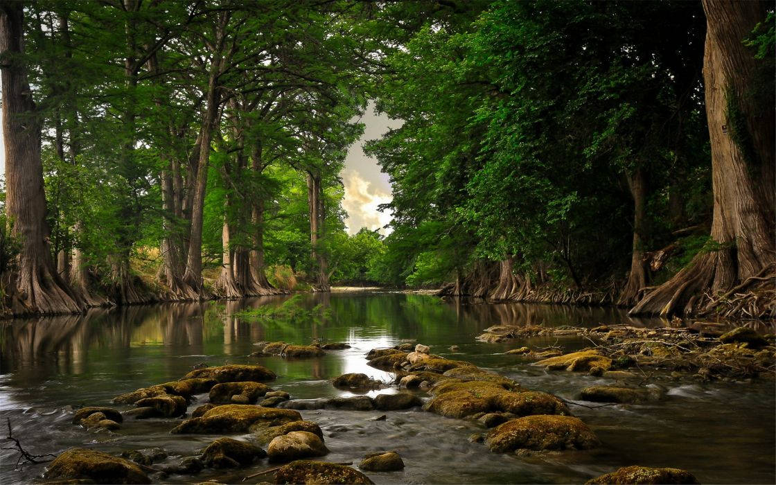 river 桌布 壁紙 — 一條寧靜的河流蜿蜒穿過茂密的森林，長滿苔蘚的岩石和高聳的樹木倒映在平靜的水面上。