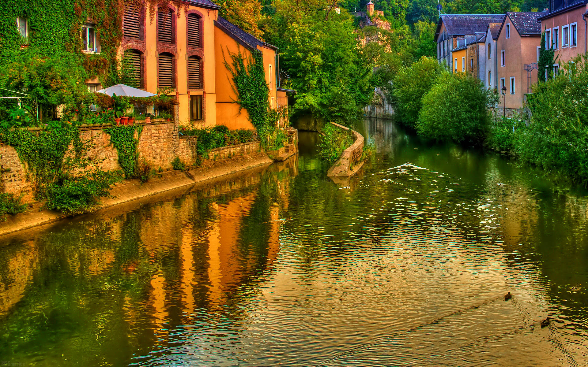 Luxembourg 桌布 壁紙 — 一條寧靜的河流蜿蜒穿過迷人的歐洲小鎮，常春藤覆蓋的建築物倒映在平靜的水面上。