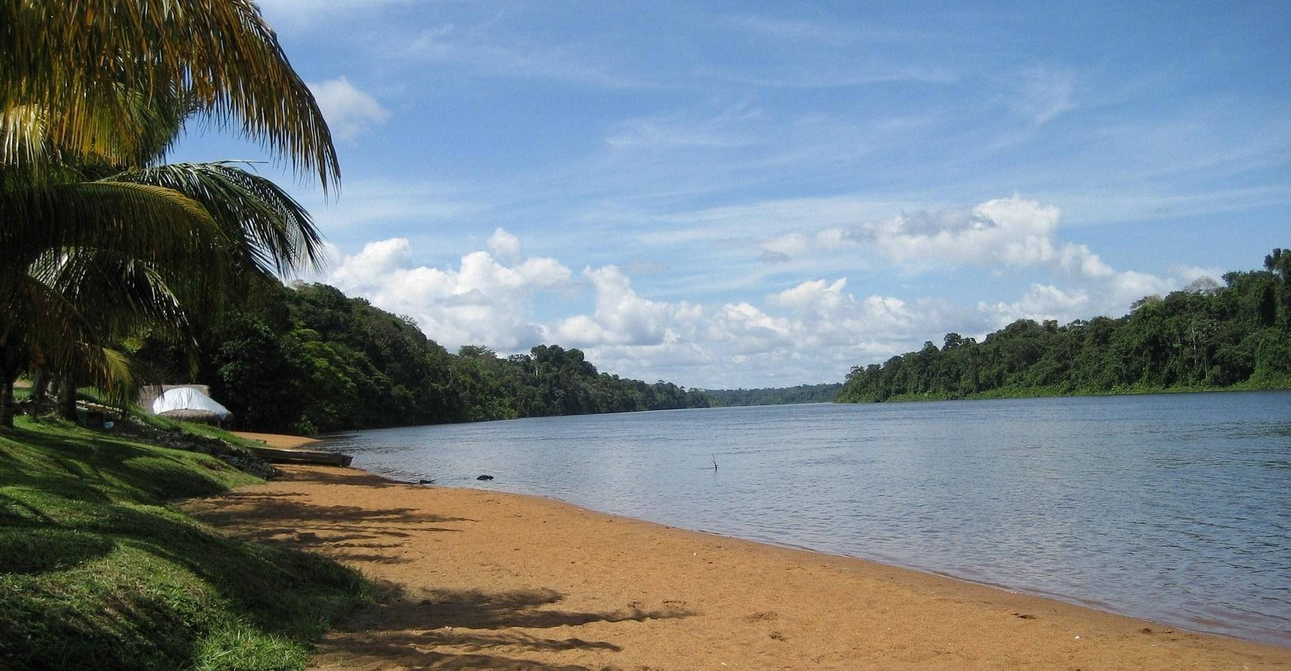 Suriname 桌布 壁紙 — 一條寧靜的熱帶河流流經沙灘，兩旁是茂密的綠色叢林和搖曳的棕櫚樹，上方是明亮的藍天和蓬鬆的白雲。