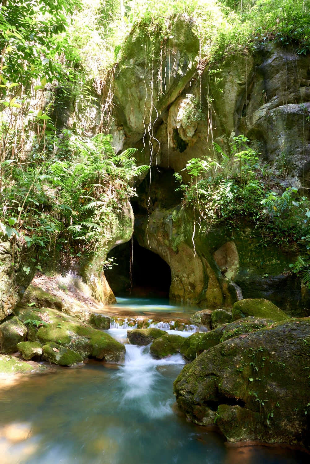 Cave 桌布 壁紙 — 一條寧靜的熱帶溪流流過長滿苔蘚的岩石，流向一個被茂密綠色蕨類植物和懸掛藤蔓環繞的黑暗洞穴入口。