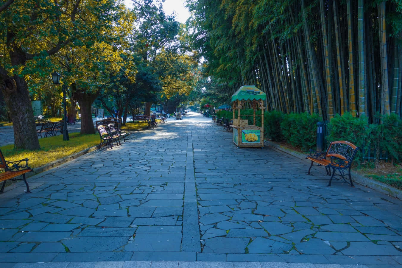 Sidewalk 桌布 壁紙 — 一條寧靜的石鋪公園小徑，兩旁種滿茂密的綠樹和長椅，在明亮的日光下。