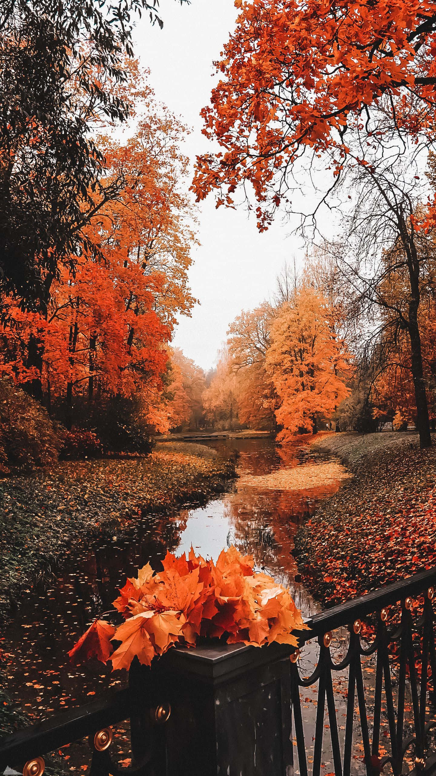 Perfect Fall 桌布 壁紙 — 一條寧靜的秋天小徑，兩旁是火紅的橙樹，落葉在陰天下的平靜溪流中倒映。