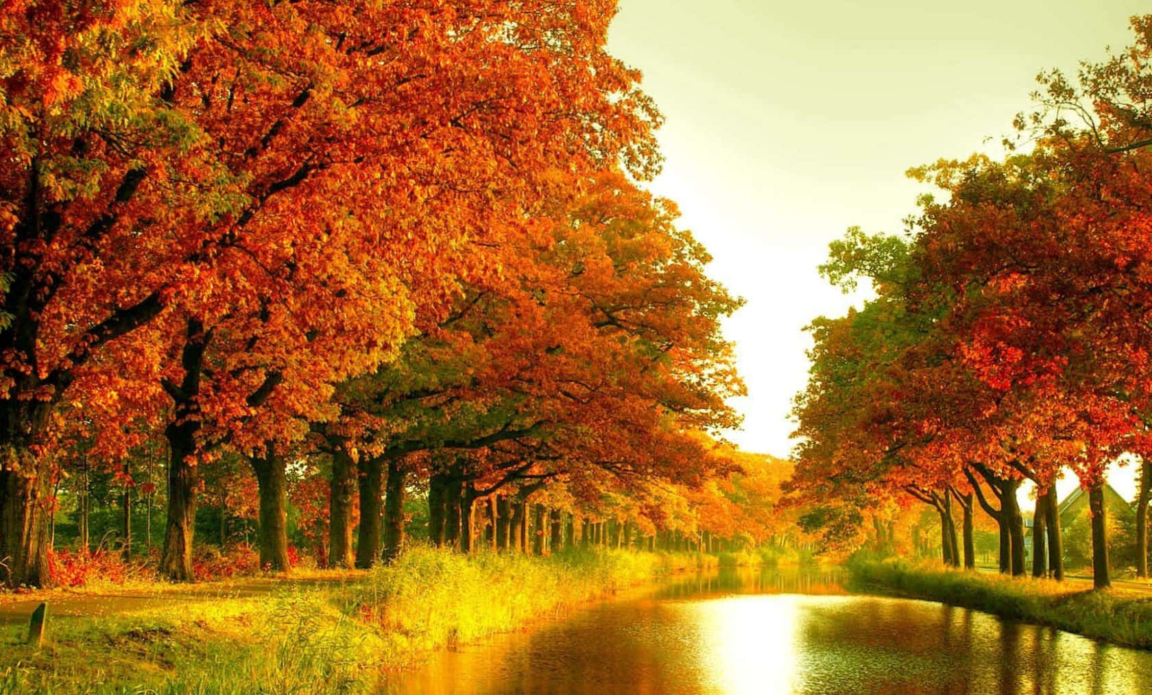 Seasonal 桌布 壁紙 — 一條寧靜的秋天運河，兩旁是鮮豔的橙色和紅色樹木，在平靜的水面上反射出金色的光芒。