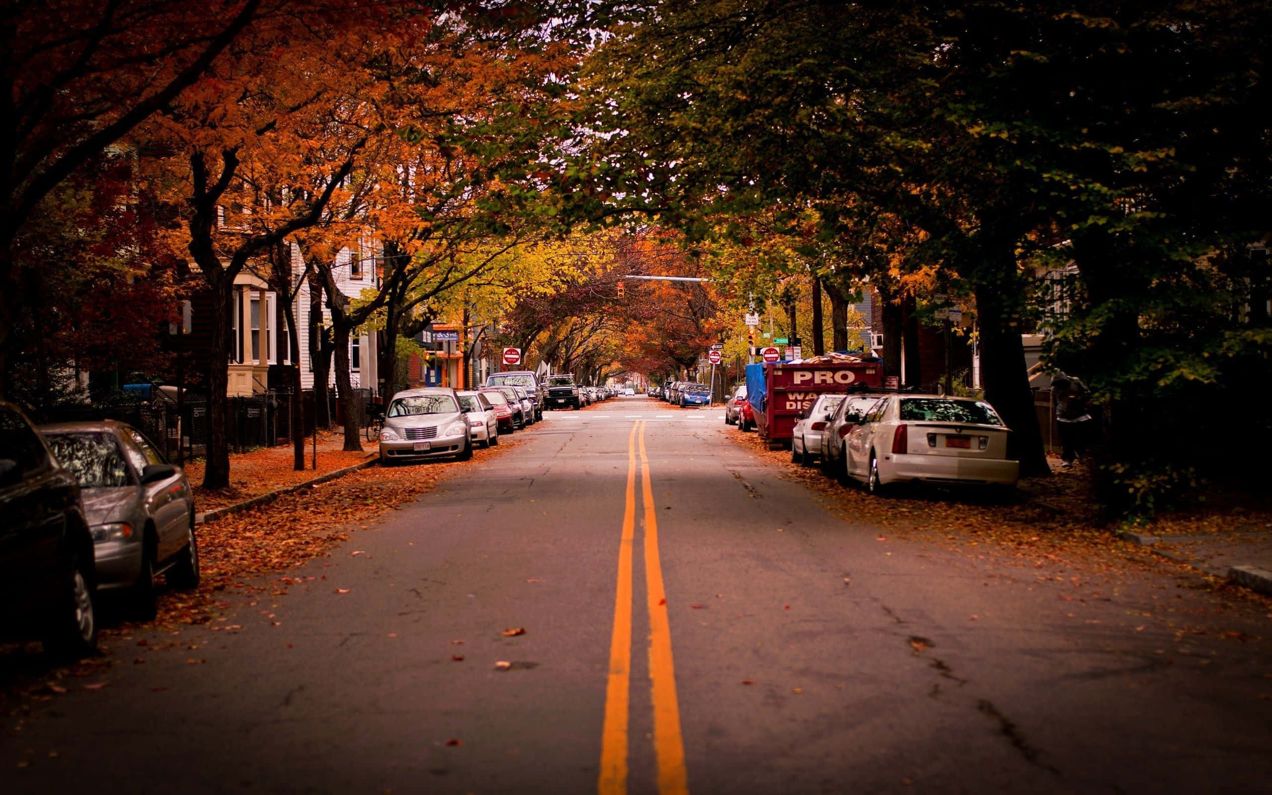 Fall City 桌布 壁紙 — 一條寧靜的秋日街道，兩旁樹木展現出火紅的橙色和黃色葉子，汽車停在兩側，天空柔和多雲。