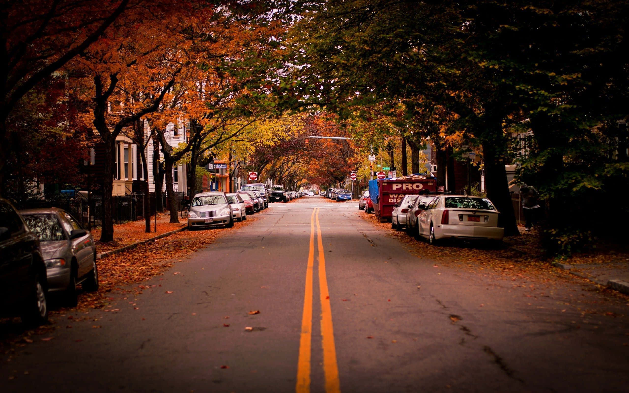 Fall Town 桌布 壁紙 — 一條寧靜的秋日街道，兩旁樹木展現出火紅的橙色和黃色樹葉，兩側都停有汽車。