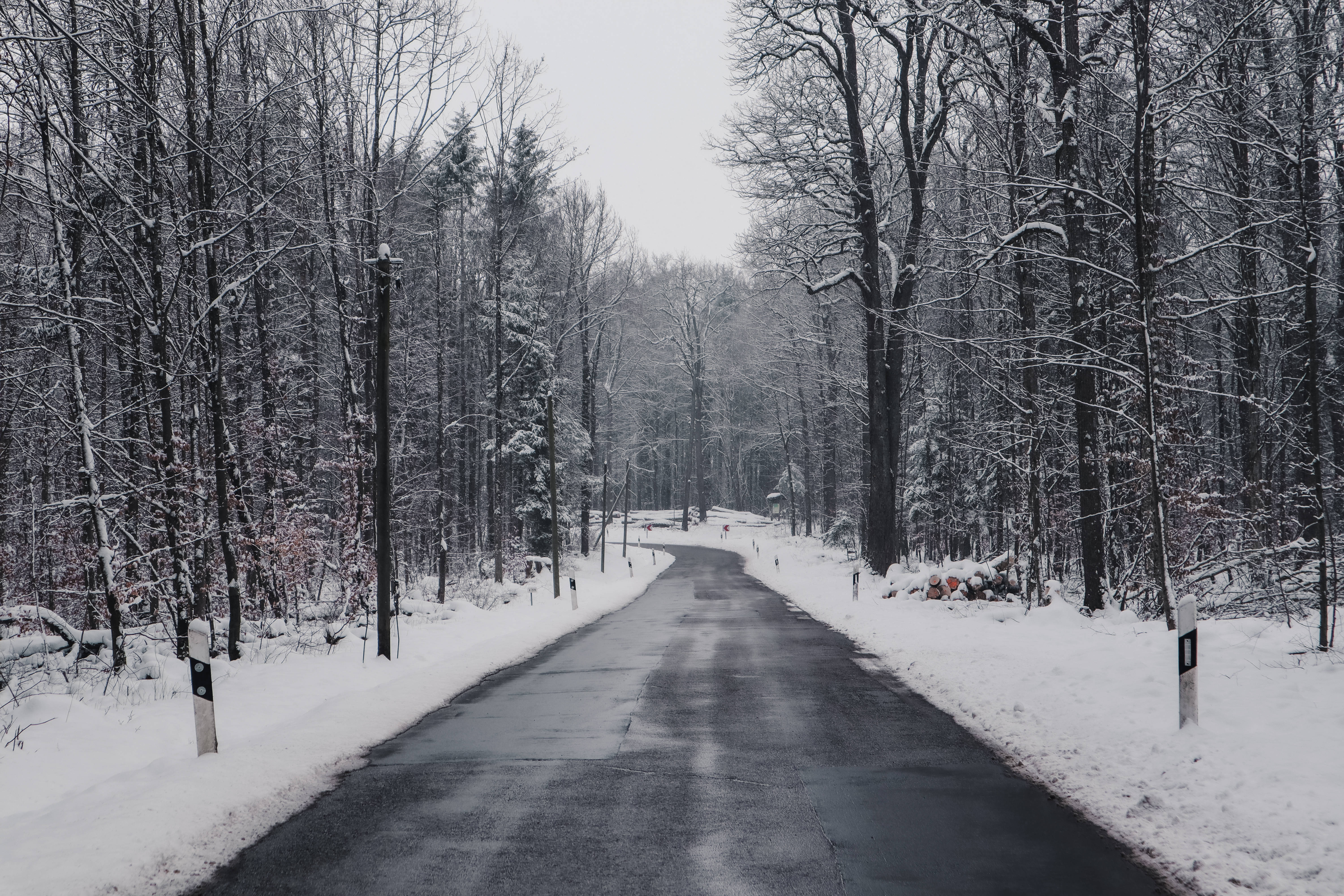 Mac Os 桌布 壁紙 — 一條寧靜的積雪道路蜿蜒穿過光禿禿的冬季森林，天空多雲。