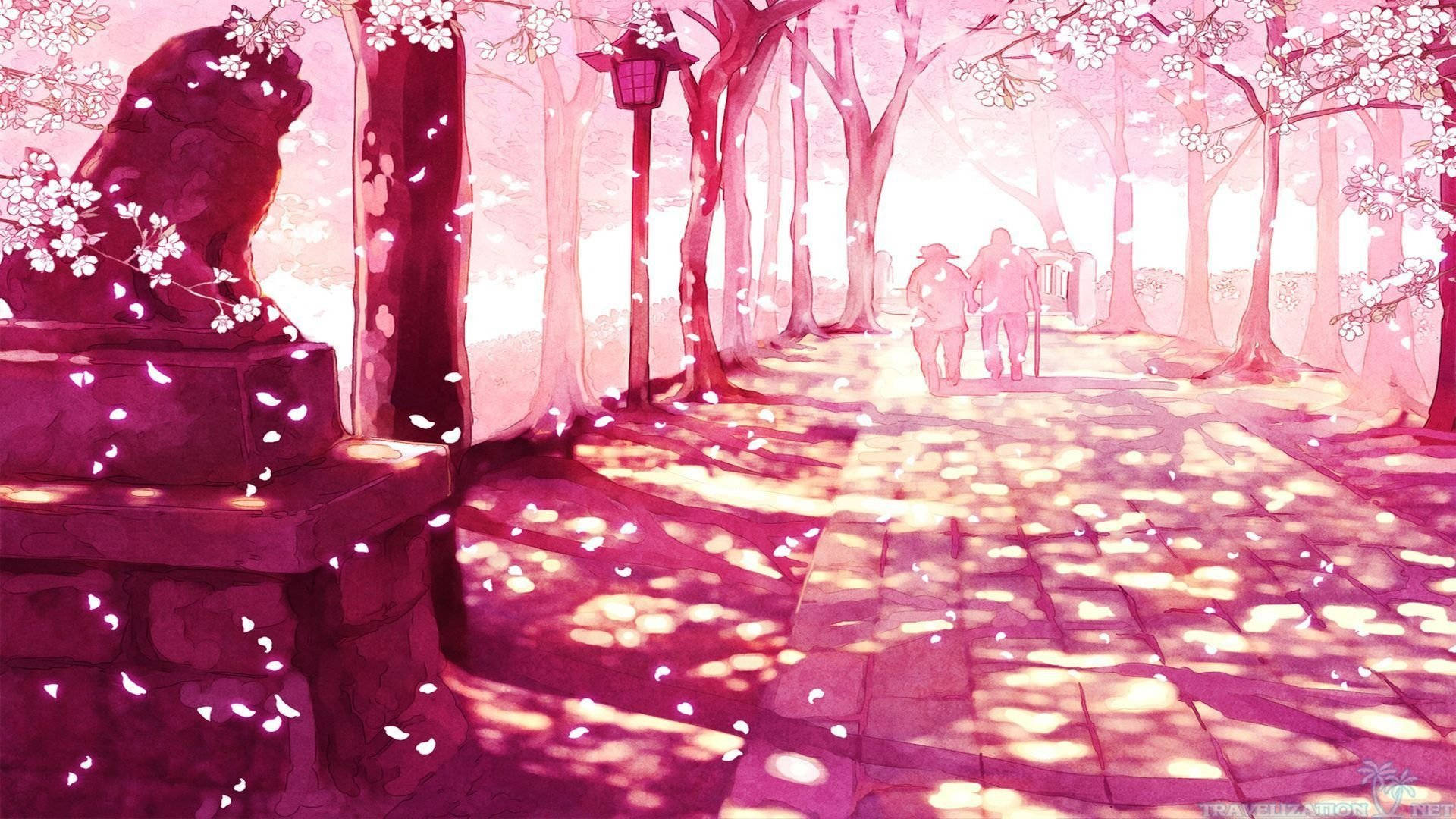 美學藝術 桌布 壁紙 — 一條寧靜的粉紅色櫻花小徑，花瓣飄落，石獅雕像在柔和陽光下。