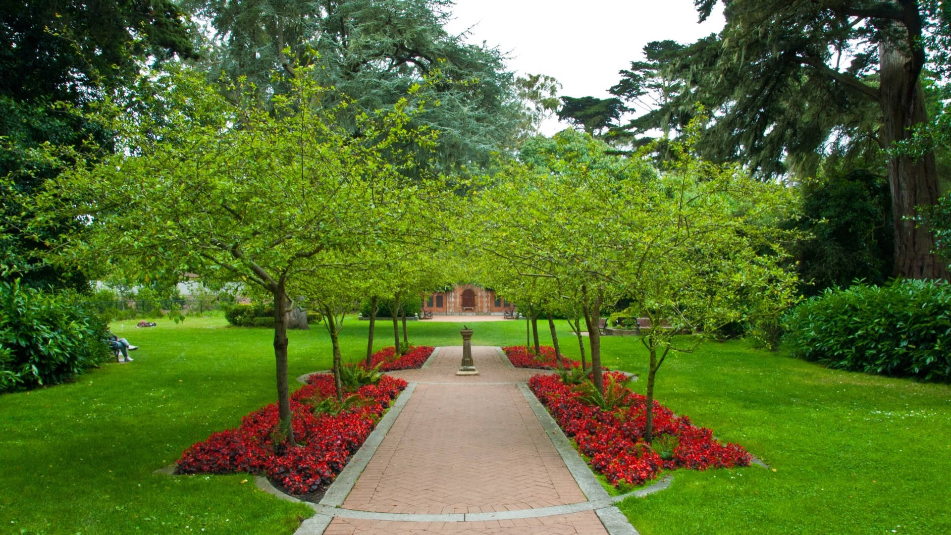Golden Gate Park 桌布 壁紙 — 一條寧靜的花園小徑，兩旁種滿鮮豔的紅花和嫩綠的樹木，通向遠處的石建築。