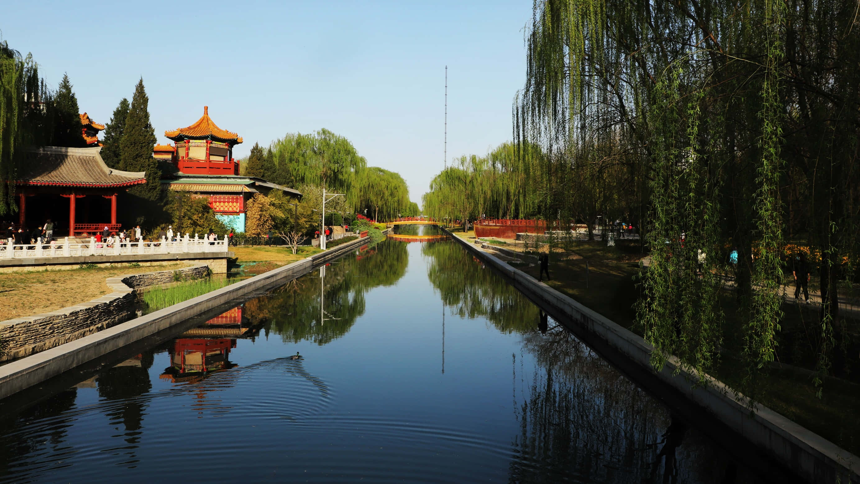 公園 桌布 壁紙 — 一條寧靜的運河，兩旁種植著垂柳和傳統的紅頂亭閣，上方是清澈的藍天。
