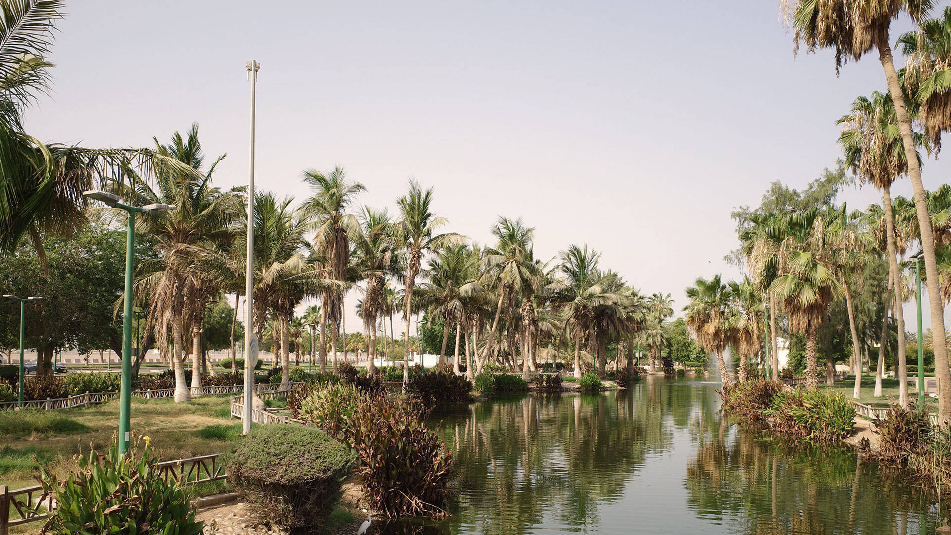 Saudi 桌布 壁紙 — 一條寧靜的運河蜿蜒穿過茂密的棕櫚樹林，在明亮晴朗的天空下，平靜的水面倒映著綠色的樹葉和天空。