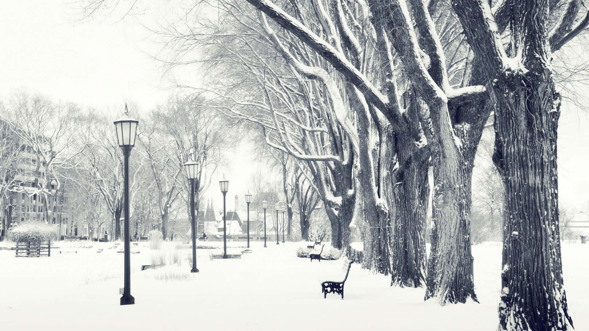 1080p Winter 桌布 壁紙 — 一條寧靜的雪覆蓋公園小徑，兩旁是光禿禿的樹木和復古路燈，在柔和的冬日天空下。