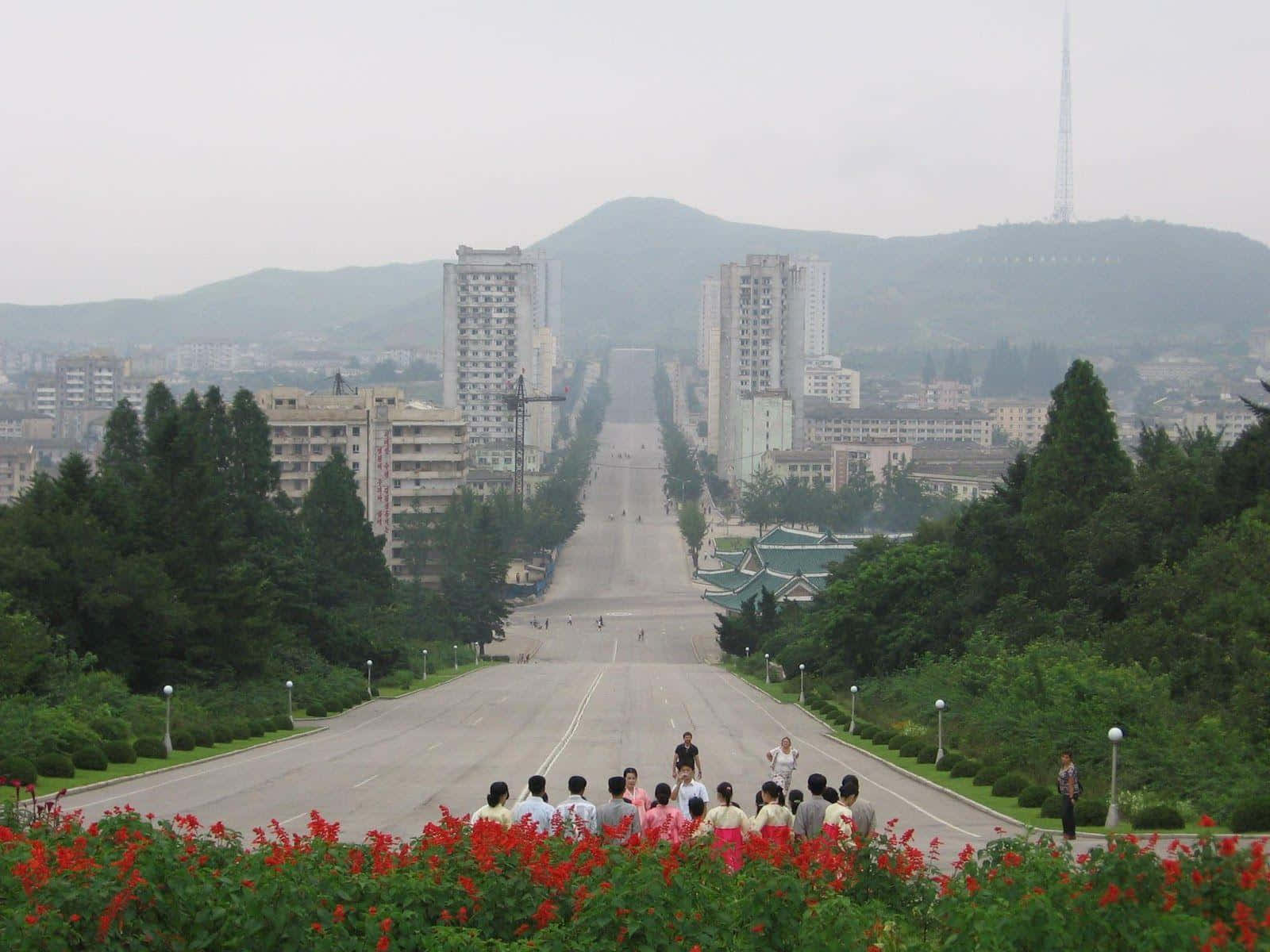 North Korea 桌布 壁紙 — 一條寬闊的直路伸向遠方的建築物，兩旁種滿樹木和紅花，天空多雲。