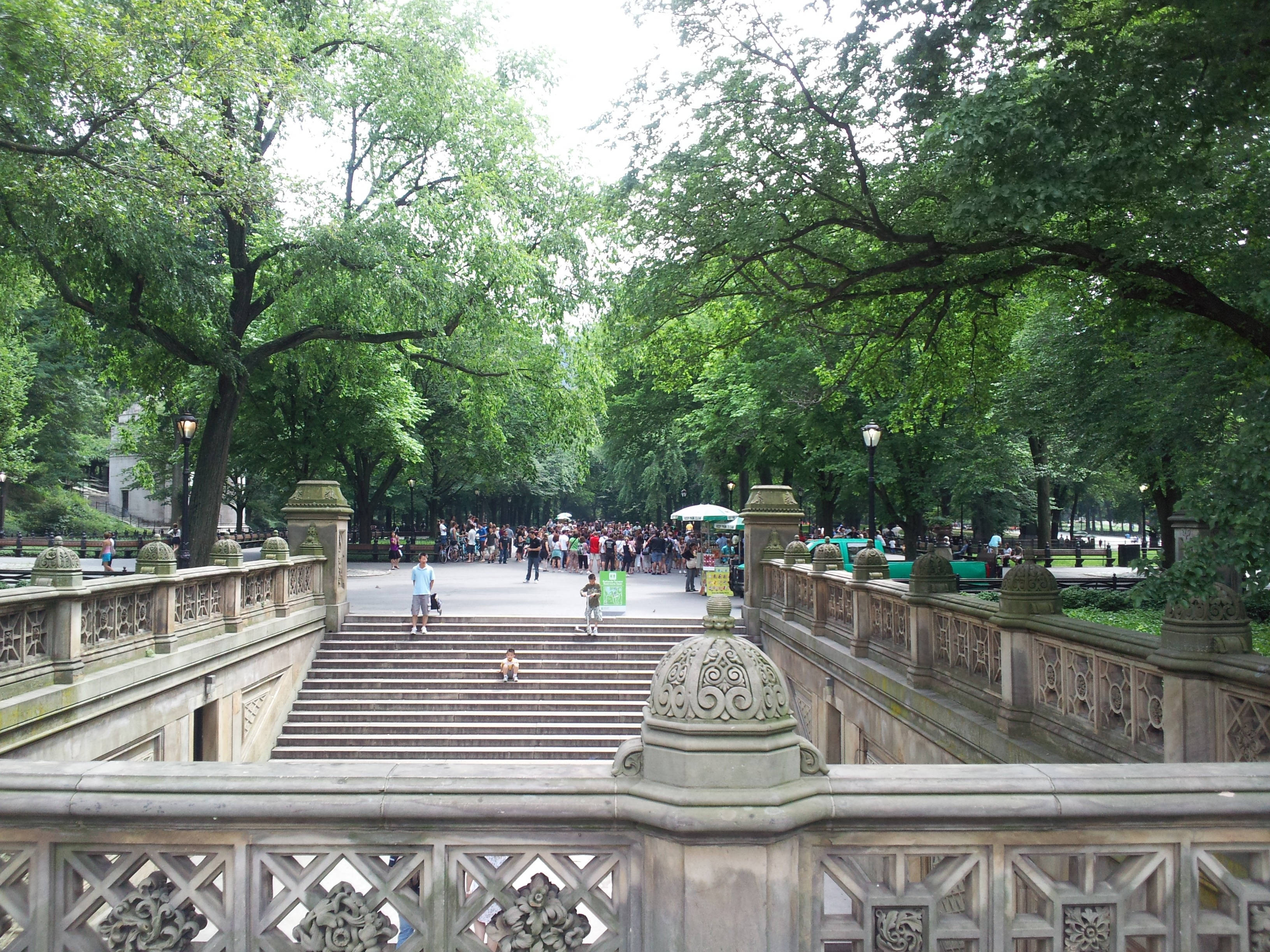 Architecture 桌布 壁紙 — 一條寬闊的石階梯在翠綠的公園中，通往一個熙來攘往的廣場，廣場上滿是人群，頭頂是茂密的樹冠。