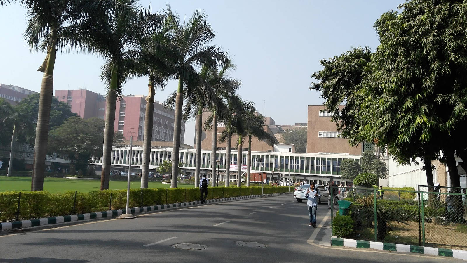 印度 桌布 壁紙 — 一條寬闊的道路兩旁種滿高大的棕櫚樹，通往現代建築，天空清澈湛藍，有人們步行和汽車經過。