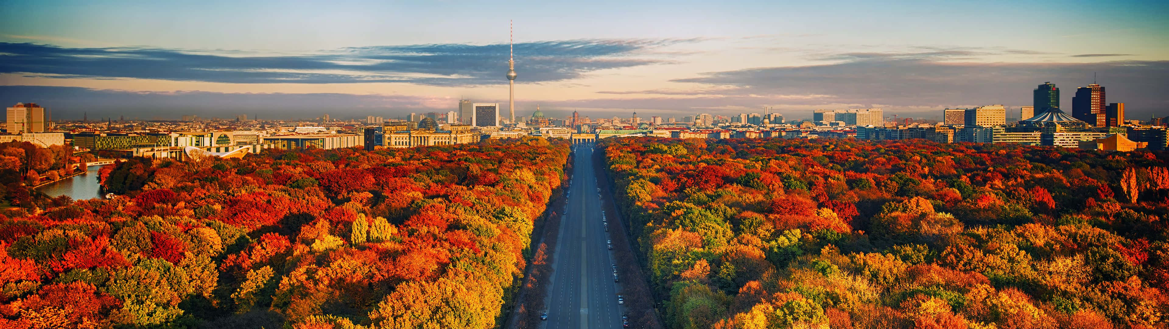 Road 桌布 壁紙 — 一條寬闊道路兩旁種滿充滿活力的秋樹，通往日落時分的城市天際線的鳥瞰圖。