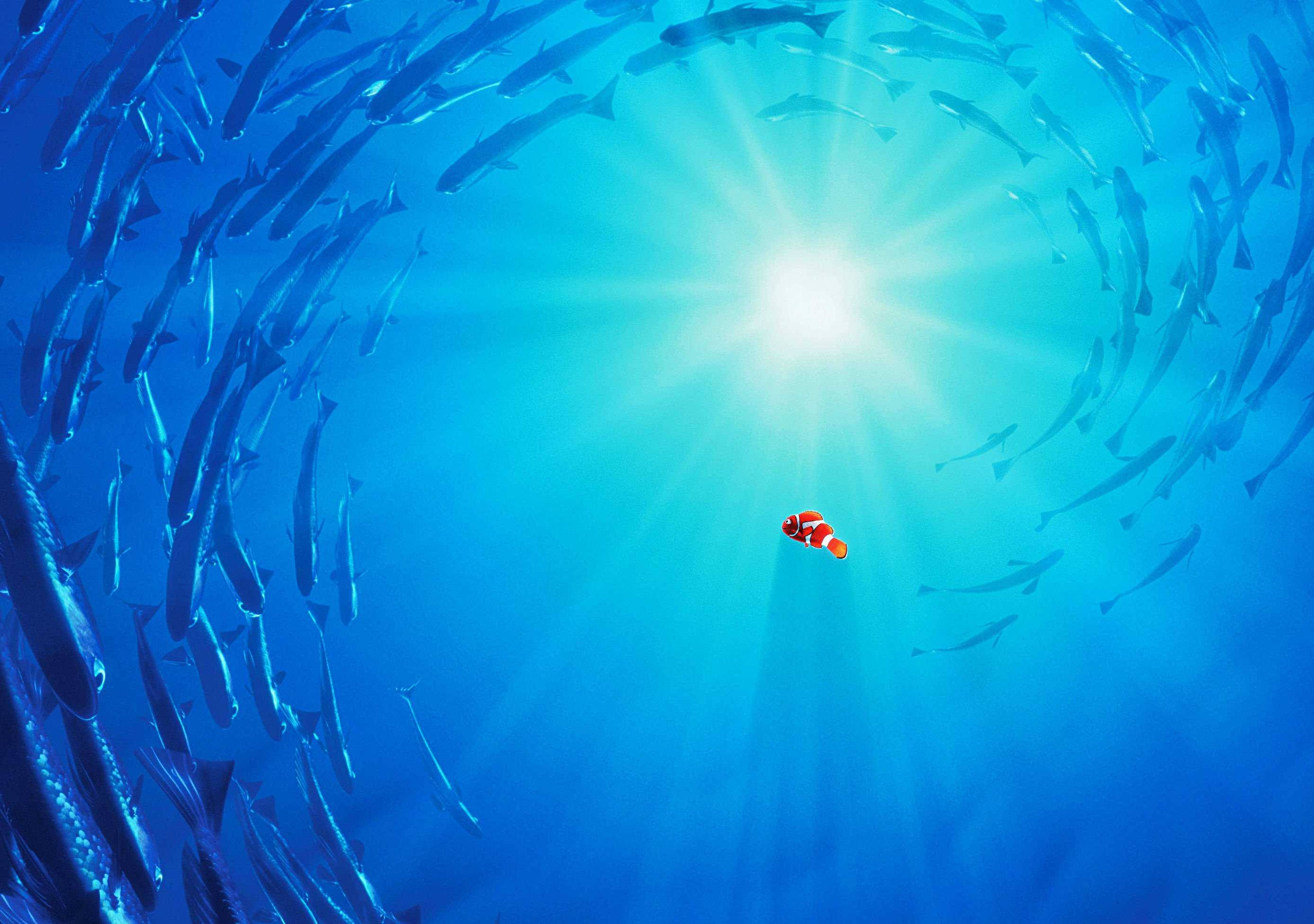 nemo 桌布 壁紙 — 一條小丑魚獨自在陽光下游泳，被深藍色海洋中旋轉的銀色魚群包圍。
