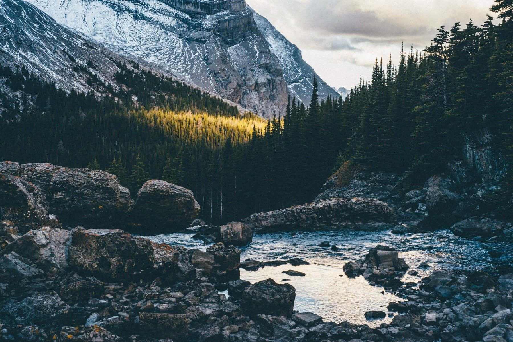 Rocks 桌布 壁紙 — 一條山間溪流蜿蜒穿過岩石地形，在陰天天空下，有積雪的山峰和常綠森林。