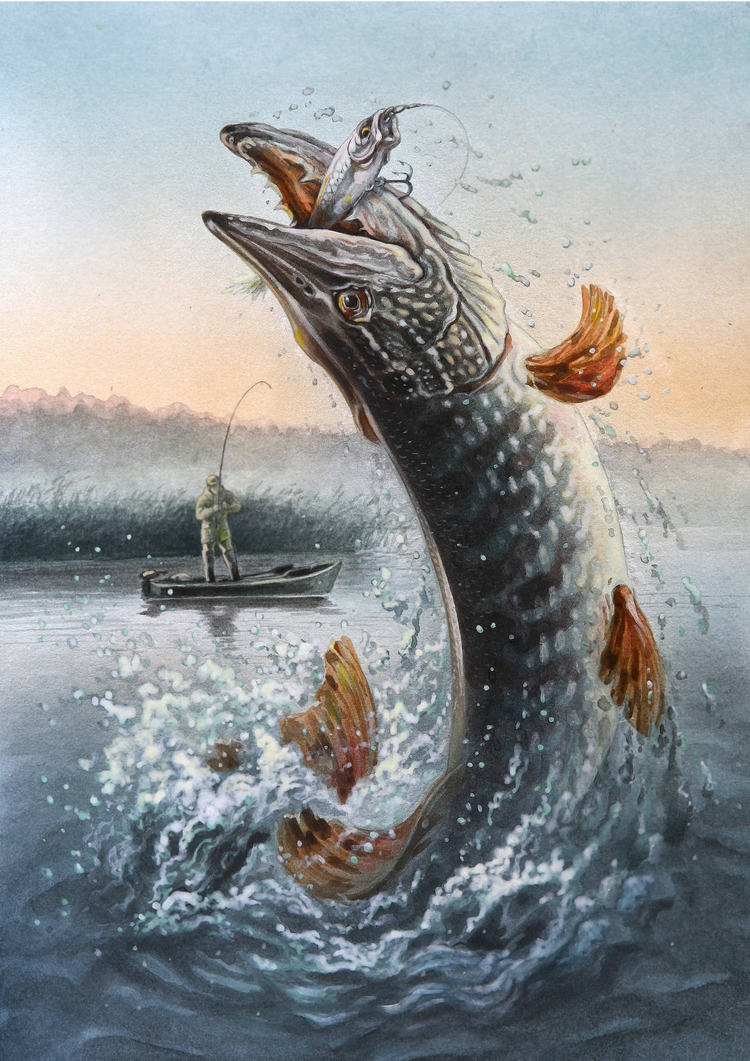 Bass Fishing 桌布 壁紙 — 一條巨大的狗魚從水中躍起，嘴裡叼著一條魚，而漁夫在黃昏時分從船上收線。