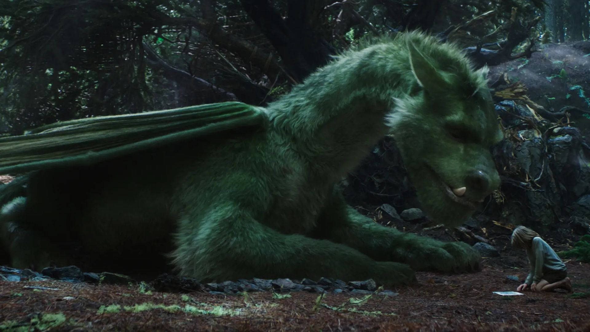 Pete's 桌布 壁紙 — 一條巨大的綠色龍在黑暗的森林中平靜地休息，一個小孩敬畏地跪在附近。