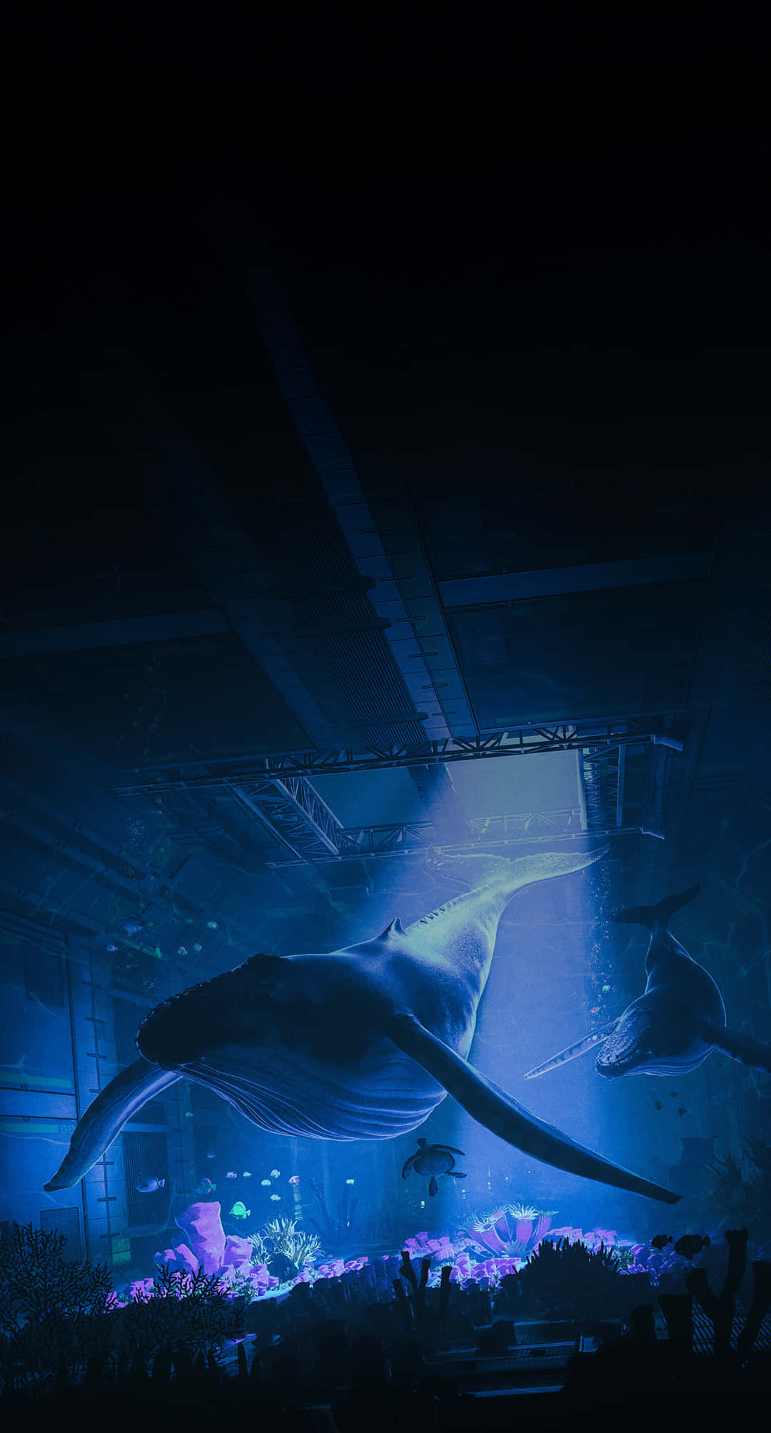 Whale 桌布 壁紙 — 一條巨大的鯨魚在深藍色的水下隧道中滑行，隧道由上方的光束照亮。