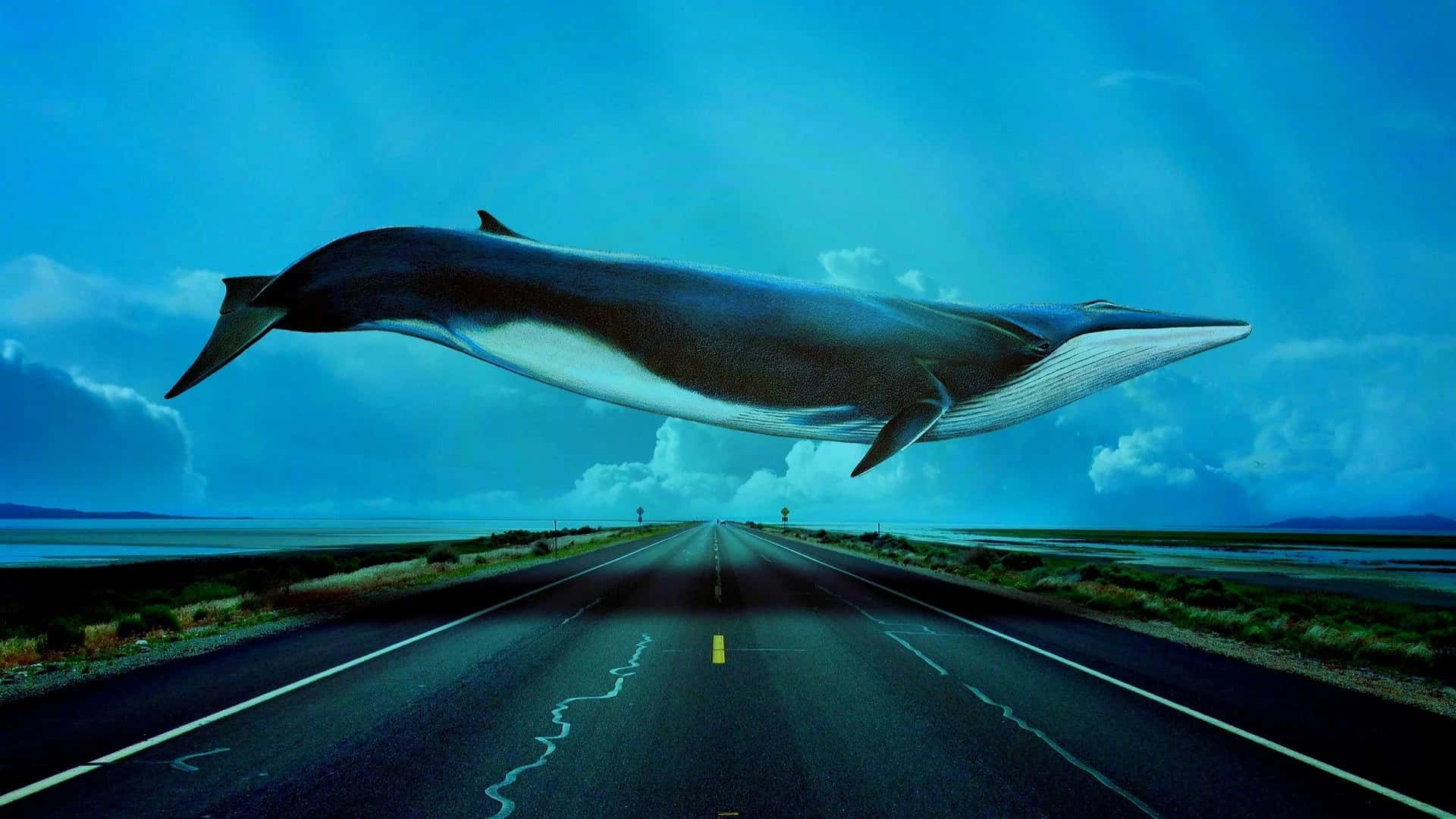 blue whale 桌布 壁紙 — 一條巨大的鯨魚在超現實的藍色天空中滑翔，下方是一條長長的空蕩高速公路，伸向遠方的山丘。