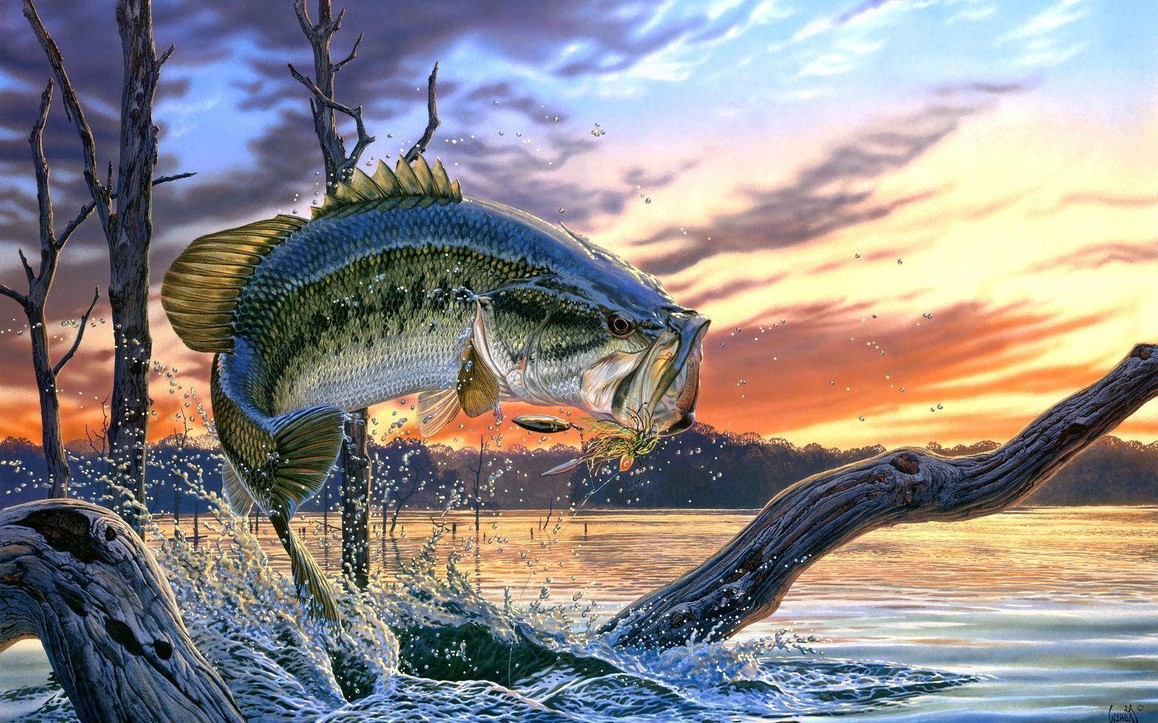 3d Art 桌布 壁紙 — 一條巨大的鱸魚在日落時從寧靜的湖中躍起，水花四濺在彎曲的樹枝周圍。