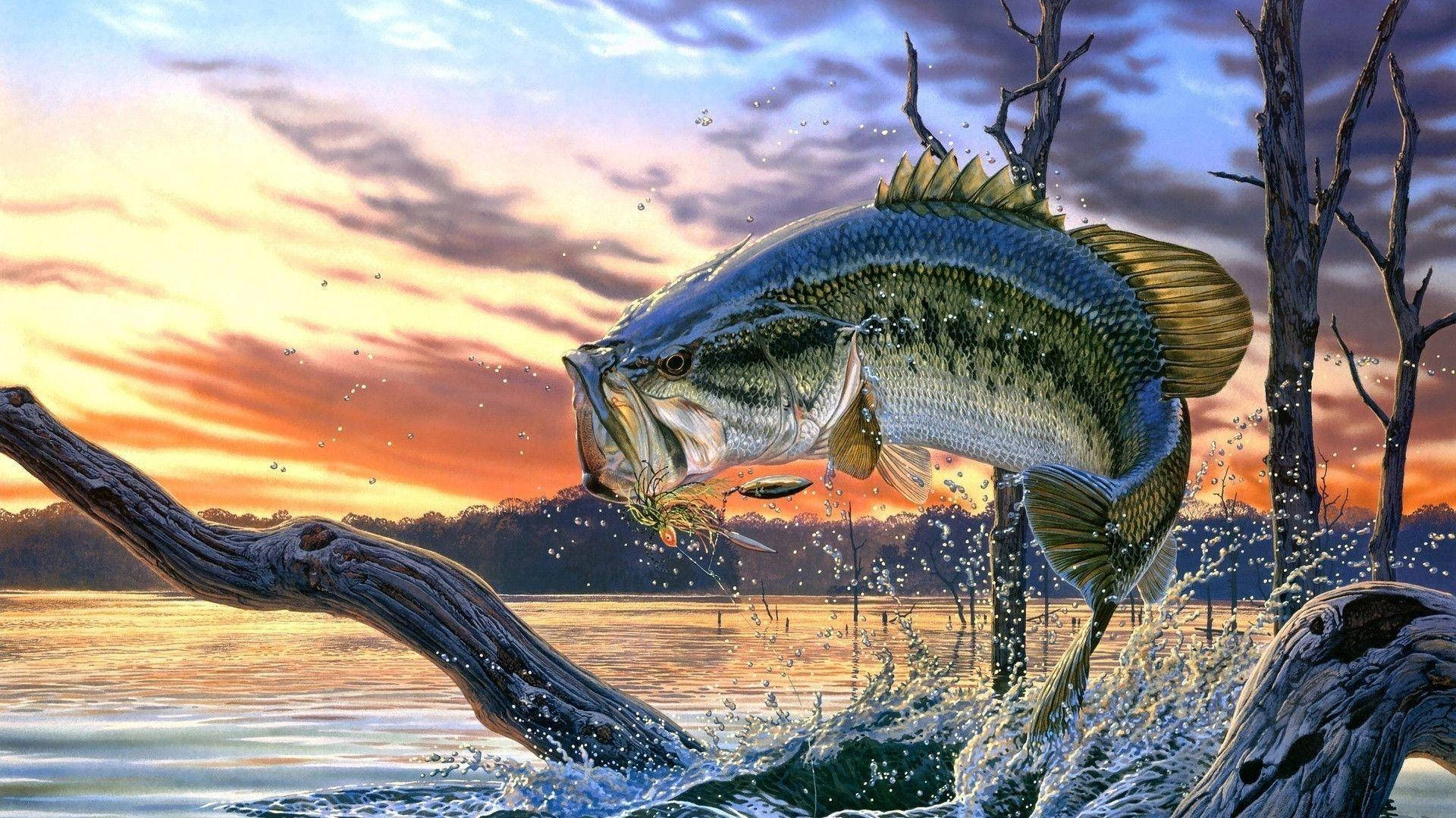 Largemouth Bass 桌布 壁紙 — 一條巨大的鱸魚從寧靜的湖中躍起，夕陽下濺起水花，光禿的樹木在火紅的橙色雲層襯托下形成剪影。