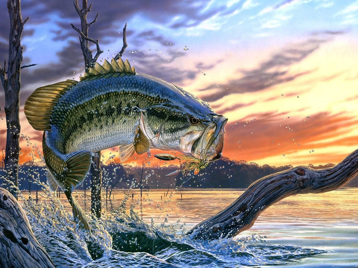 酷魚 桌布 壁紙 — 一條巨大的鱸魚從日落時分的寧靜湖中躍起，水花四濺，周圍是光禿的樹木和火紅的天空。