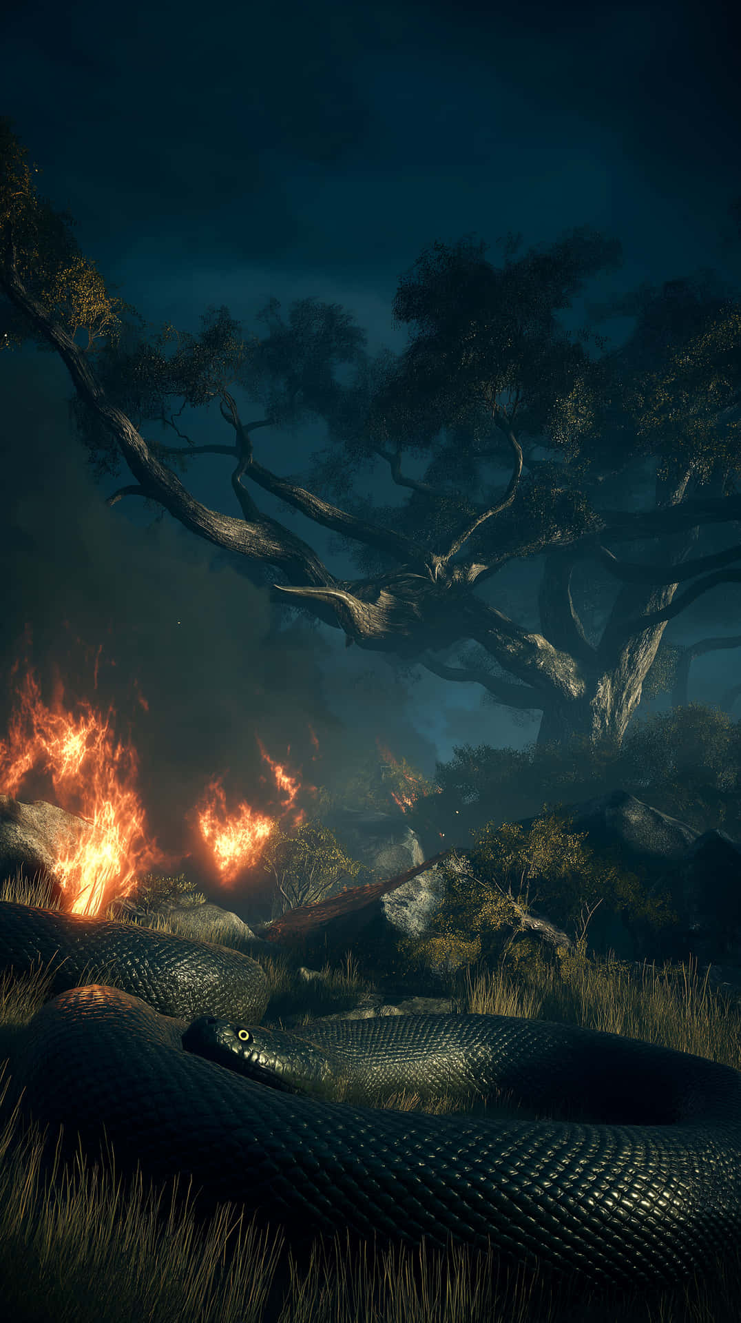 Colossal Serpent in a Mystical Burning Forest Scene 壁紙 — 一條巨大的黑蛇在扭曲的樹下的高草中盤繞，而火焰從黑暗森林中的岩石中噴出。