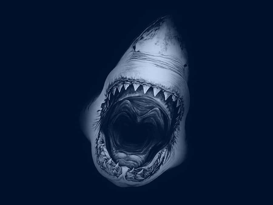 marine biology 桌布 壁紙 — 一條帶有威脅性的鯊魚張開滿是尖牙的嘴巴，在深藍色背景下向上凝視。