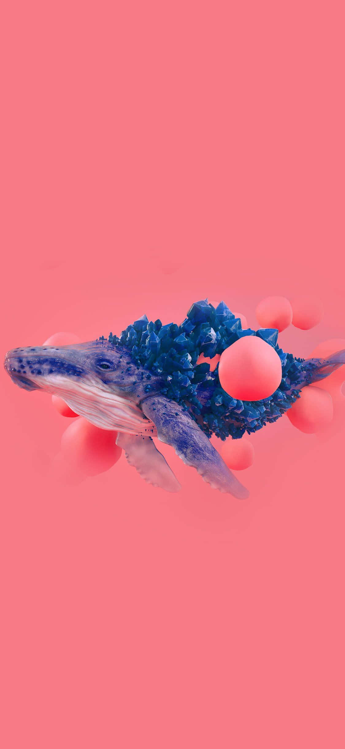 blue whale 桌布 壁紙 — 一條帶有水晶尖刺的超現實藍鯨，在純粉紅色背景上，游過一片漂浮的珊瑚粉紅色球體。