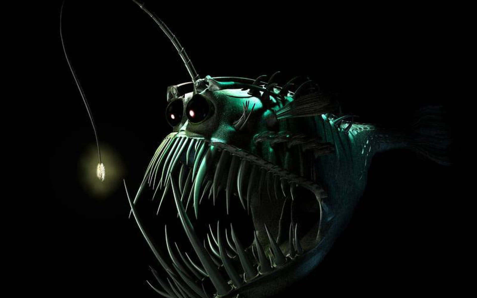 魚 桌布 壁紙 — 一條帶有發光誘餌和尖牙的兇猛深海琵琶魚，凝視著漆黑的深淵。